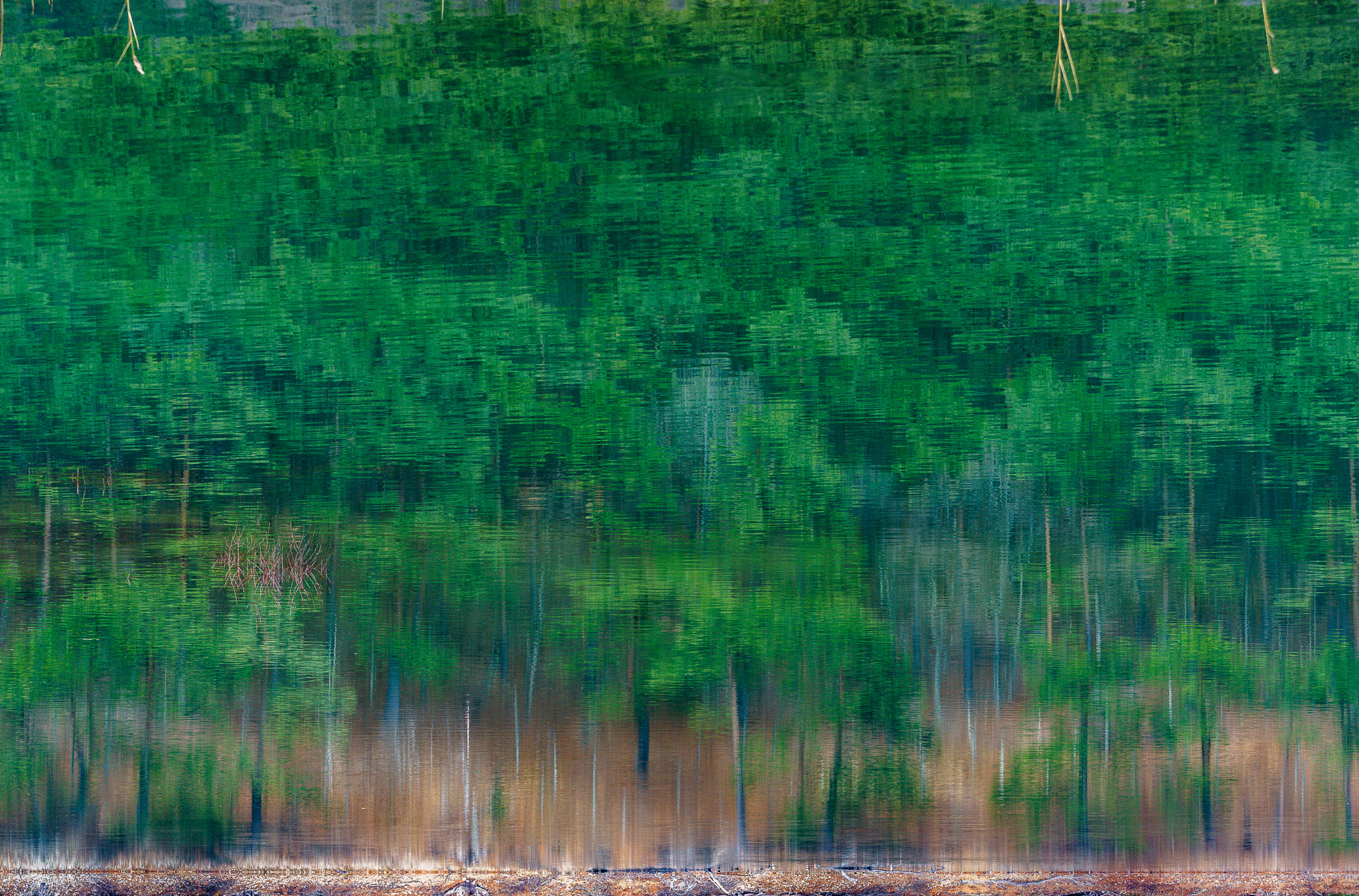 Sony FE 70-300mm F4.5-5.6 G OSS sample photo. Reflected trees photography