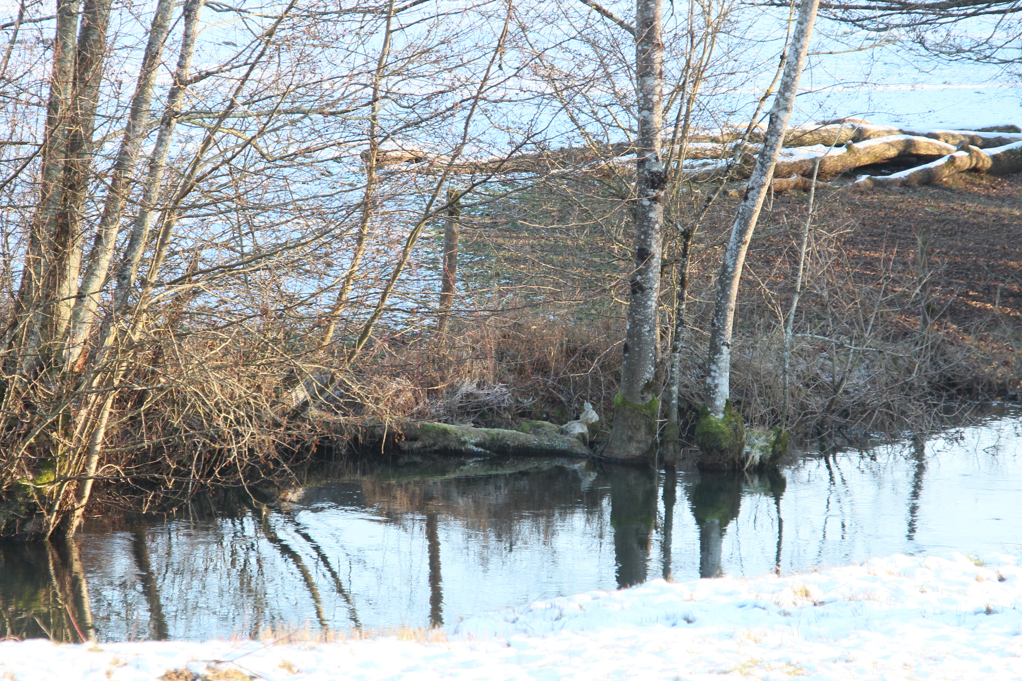 Canon EOS 700D (EOS Rebel T5i / EOS Kiss X7i) sample photo. Neige au bord de la rivière blaise (52110, france) photography