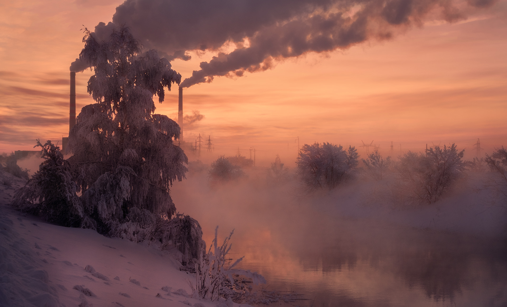 Fujifilm XC 16-50mm F3.5-5.6 OIS sample photo. Light frost photography
