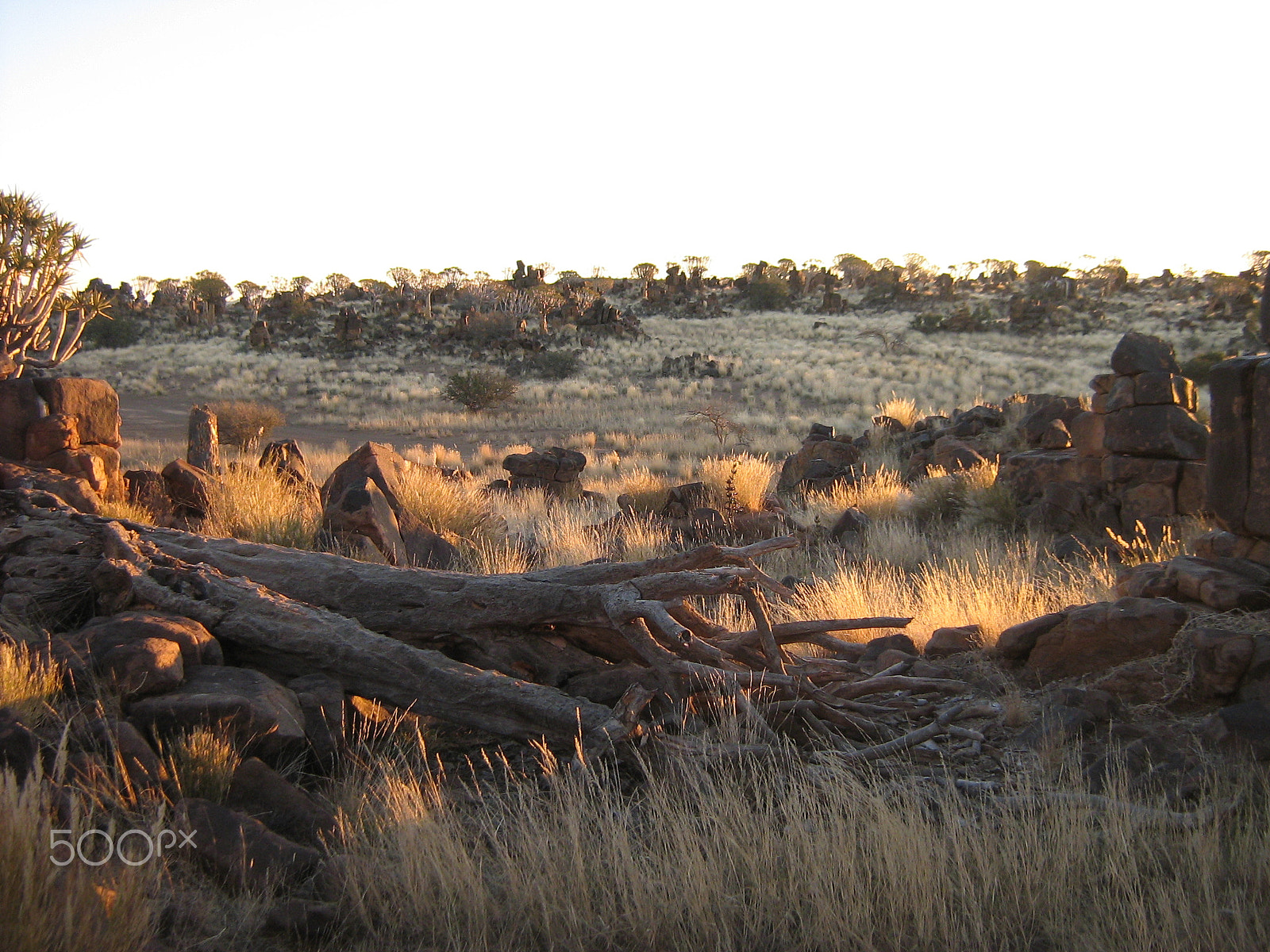 Canon POWERSHOT A430 sample photo. Sunset in namibia photography