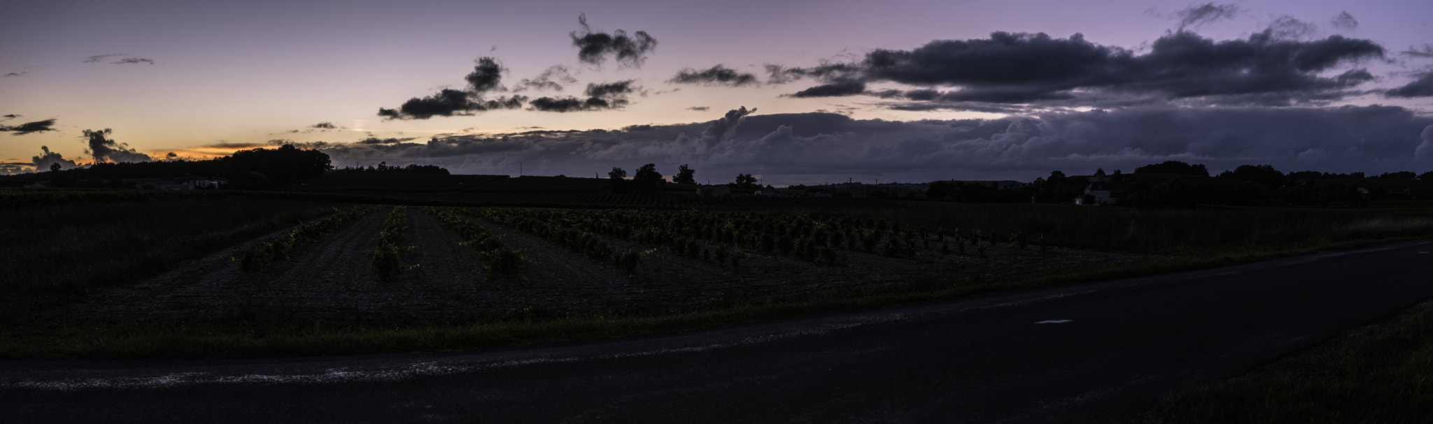 Samsung NX500 + Samsung NX 30mm F2 Pancake sample photo. Coucher de soleil sur les vignes menant à cognac photography