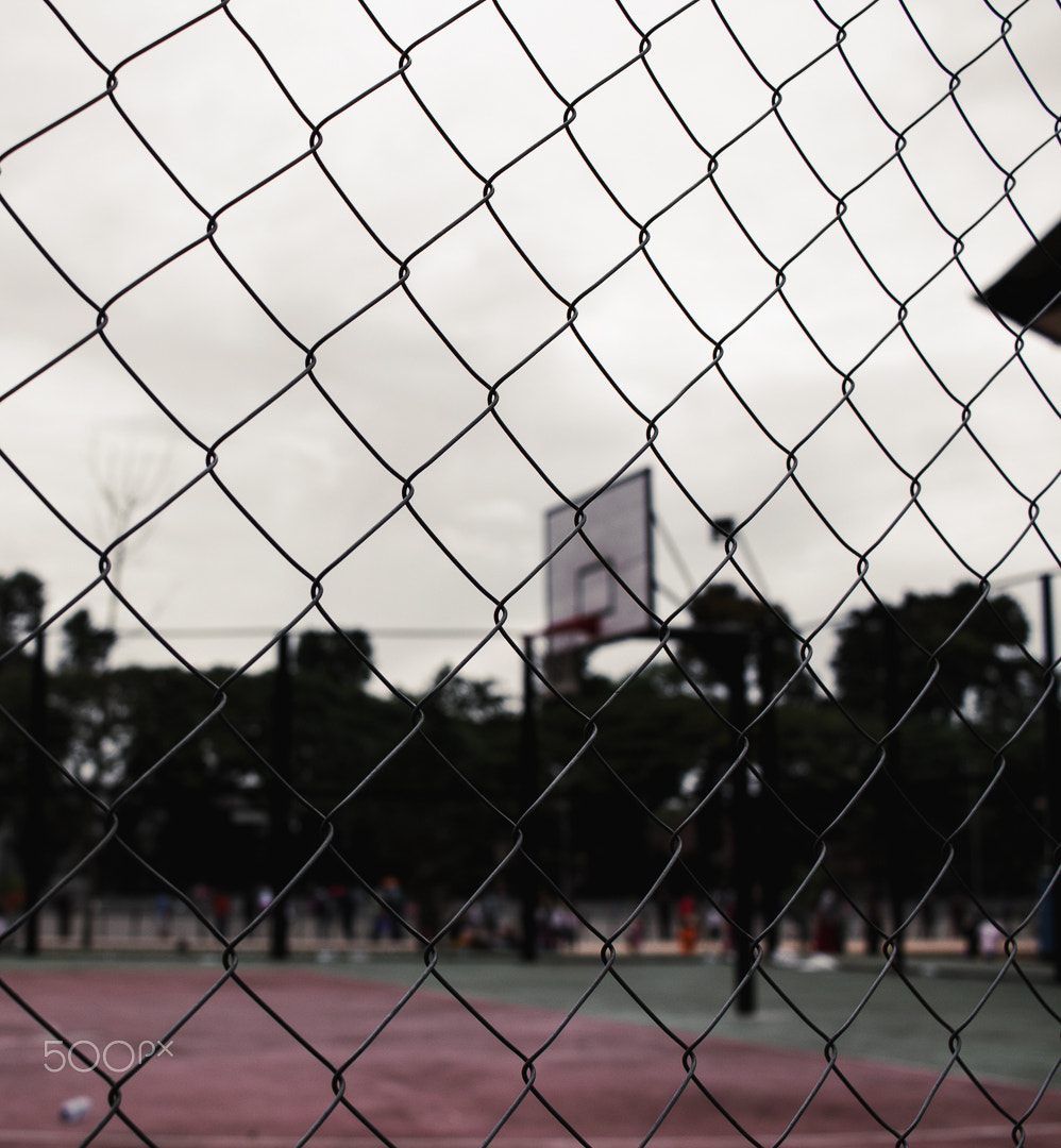 Canon EF-S 24mm F2.8 STM sample photo. Arena photography