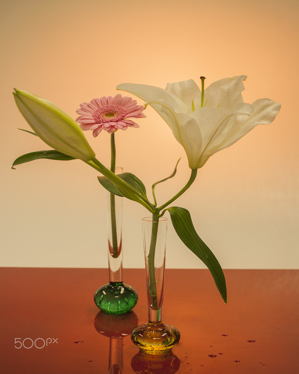 Canon EOS 1000D (EOS Digital Rebel XS / EOS Kiss F) sample photo. Flower photography