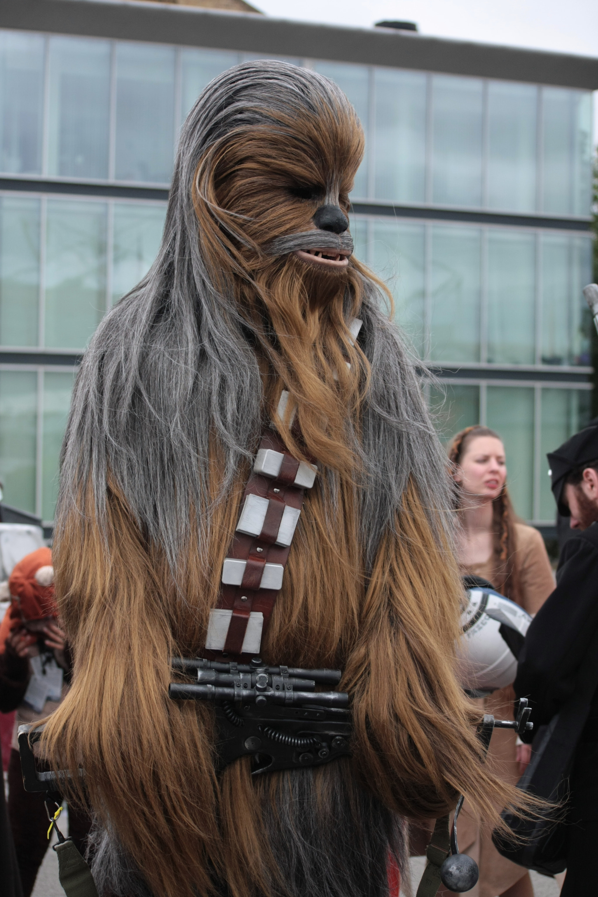 Canon EOS 40D + Sigma 50-200mm F4-5.6 DC OS HSM sample photo. Chewbacca costume photography