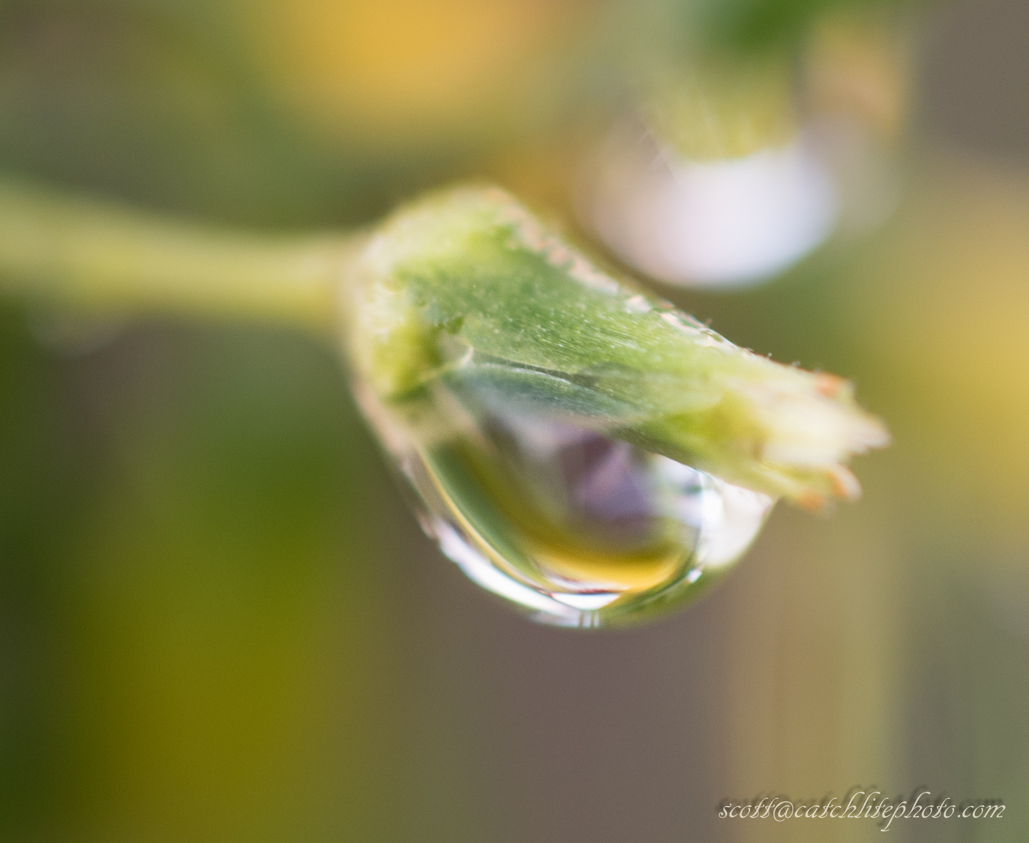 Nikon AF-S DX Micro Nikkor 40mm F2.8 sample photo. Diamonds photography