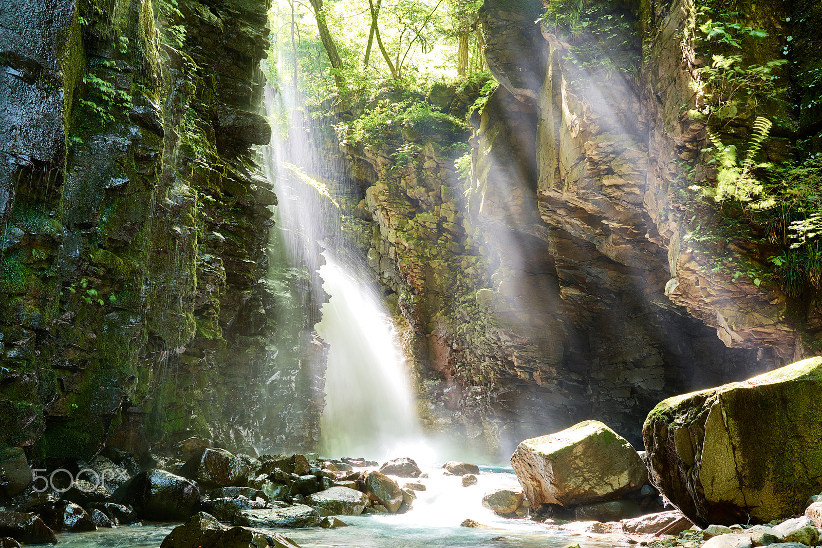 Nikon D810 sample photo. Water and sun shower photography