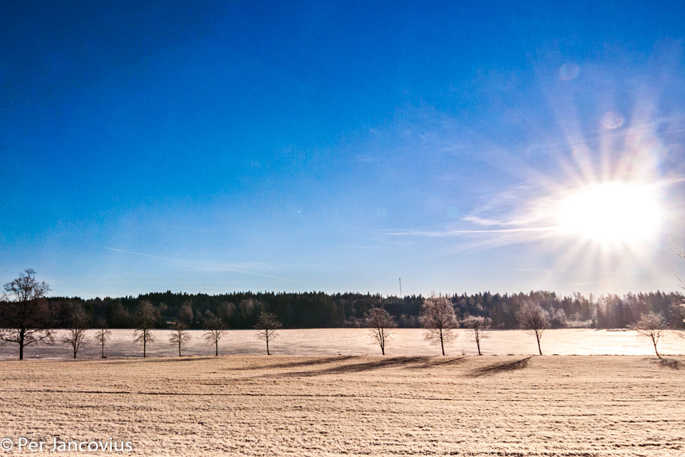 Canon EOS 40D + Tokina AT-X Pro 12-24mm F4 (IF) DX sample photo. Sunny morning photography