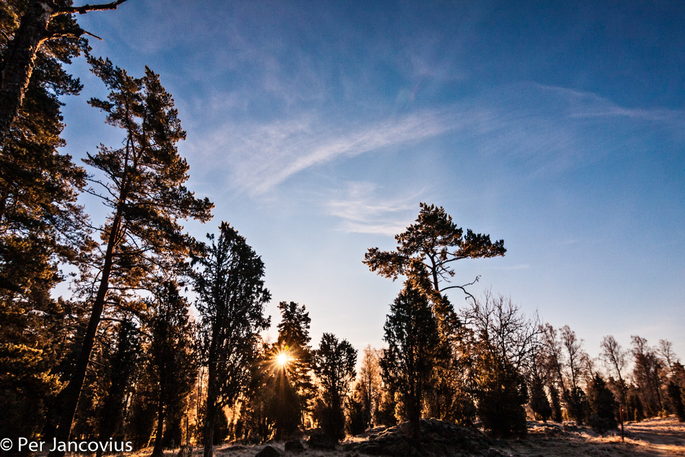 Tokina AT-X Pro 12-24mm F4 (IF) DX sample photo. Sunny morning 2 photography