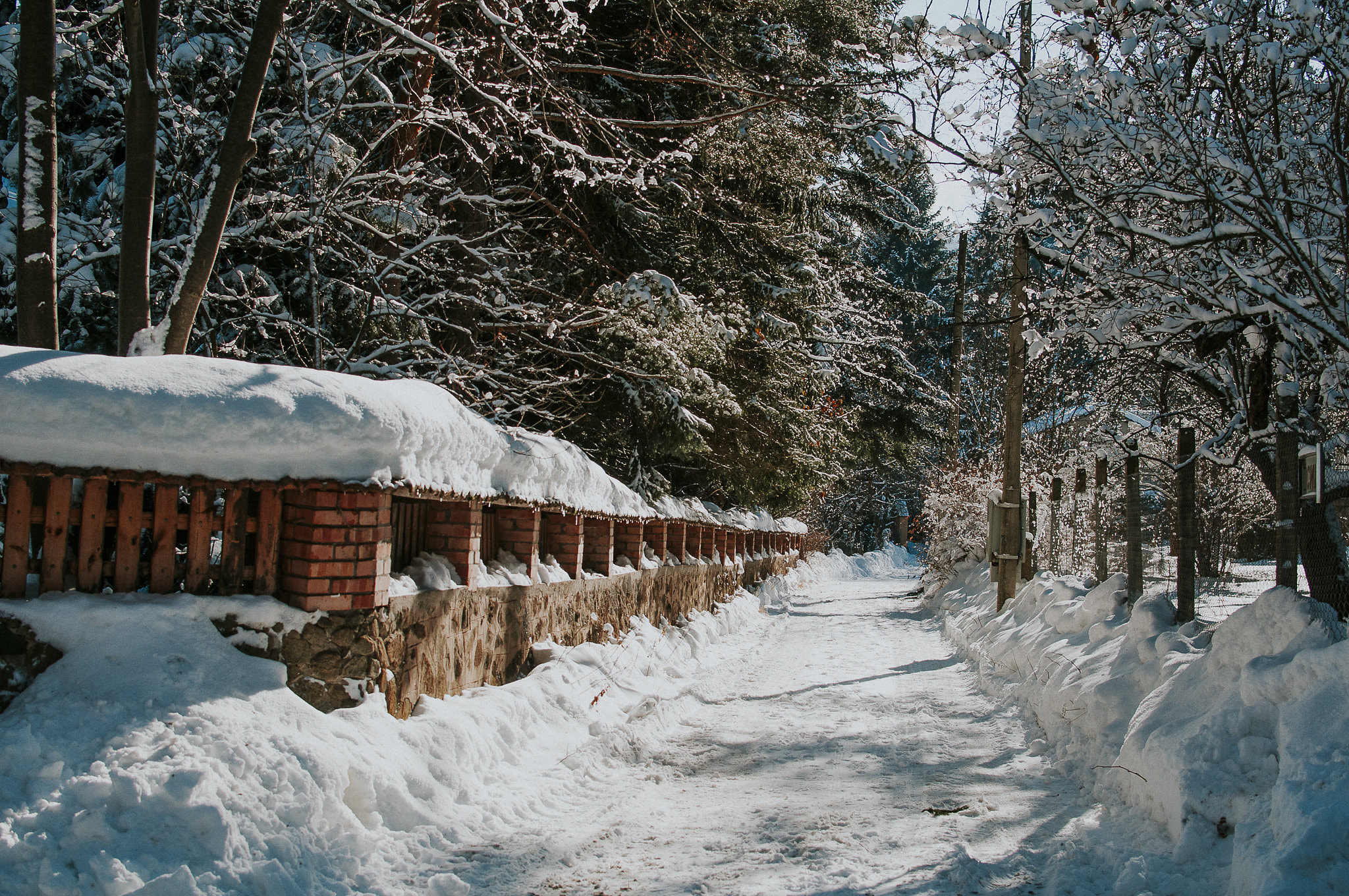 Nikon D300S sample photo. Local street for local people photography