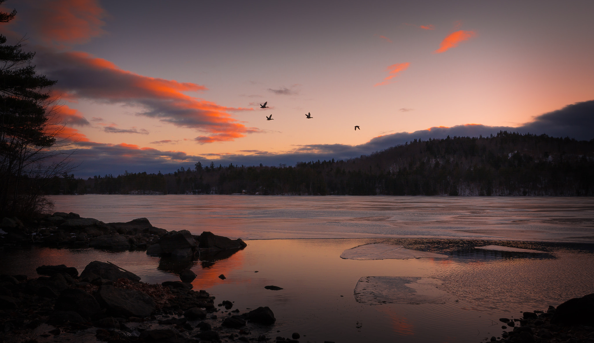 Sigma 10-20mm F4-5.6 EX DC HSM sample photo. Ducks in flight over horn pond photography