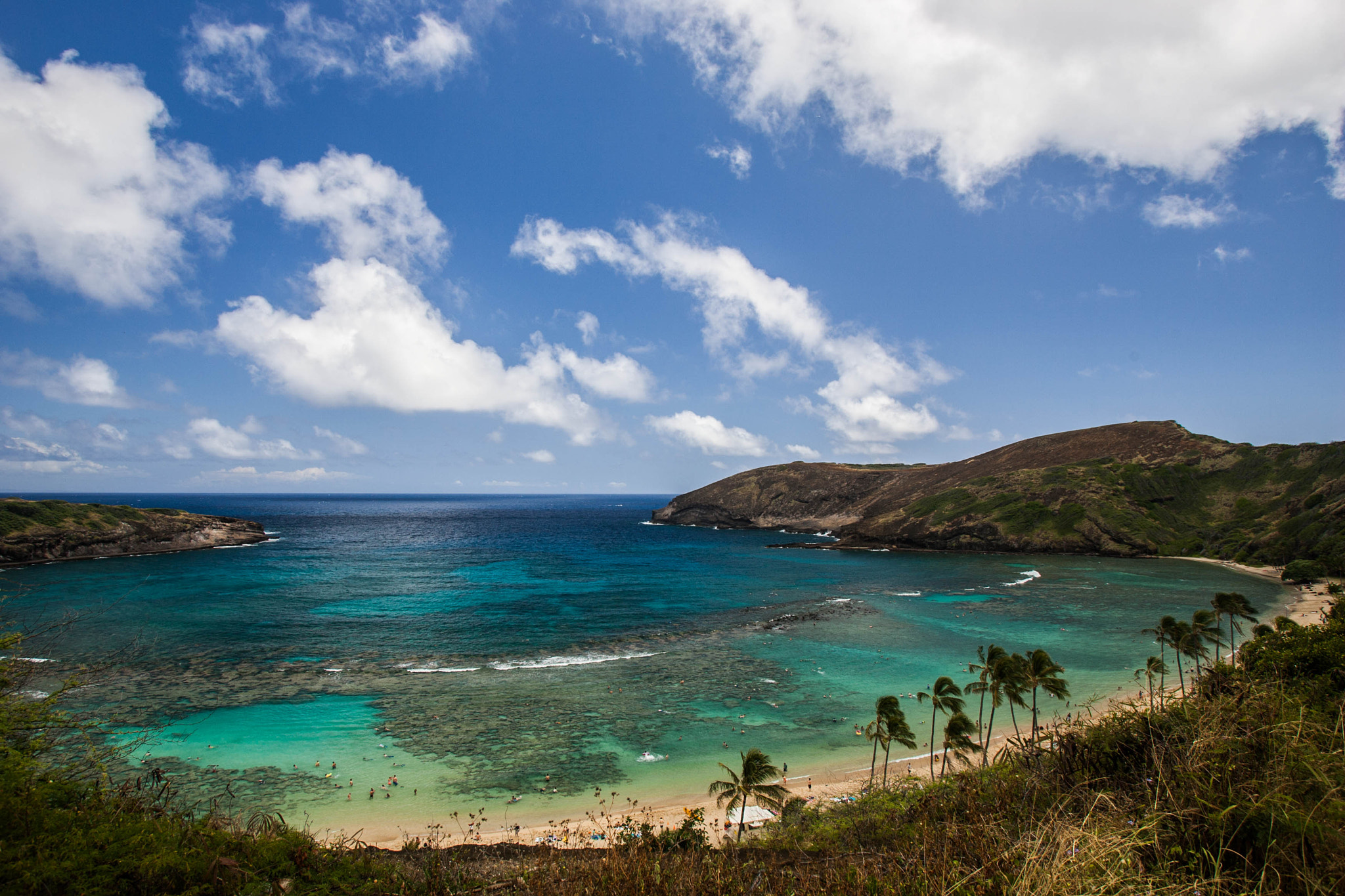 Canon EOS-1D Mark II sample photo. Hanauma bay photography