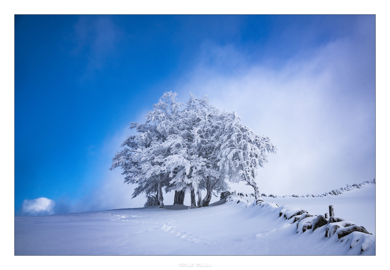 Sony a99 II + 24-105mm F4 sample photo. Bleu, blanc, noir... photography