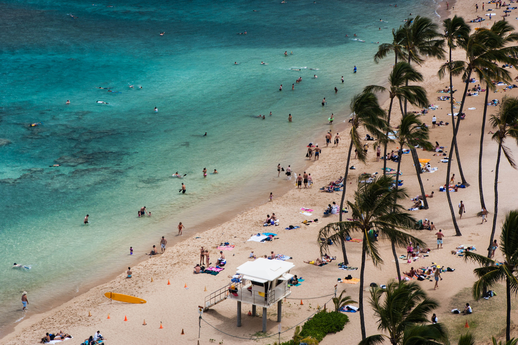 Canon EOS-1D Mark II sample photo. Beach in the hanauma bay photography
