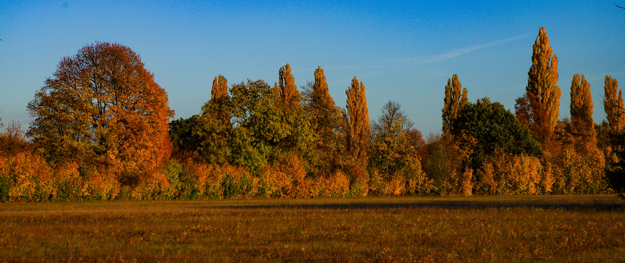 Pentax K-30 sample photo. Color palette photography