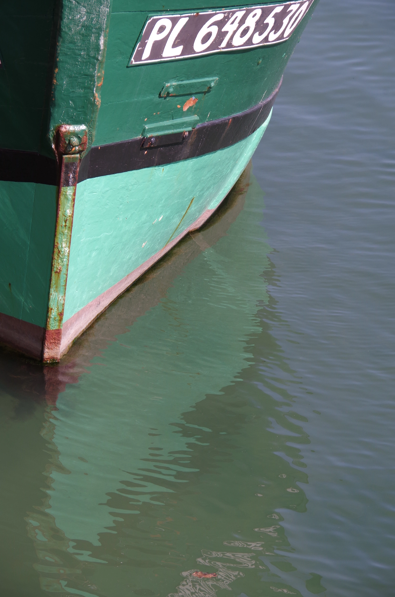 Pentax K-50 sample photo. Perros photography