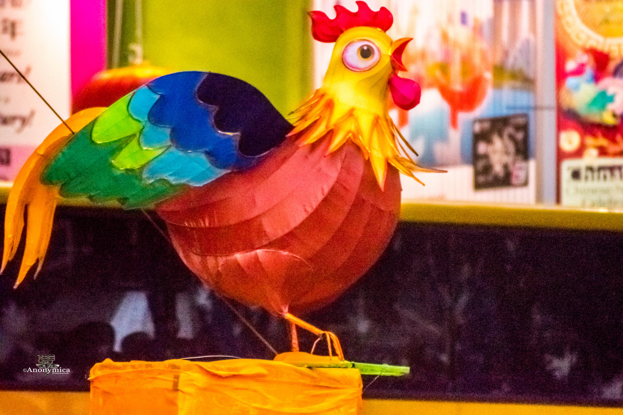 Nikon D5500 sample photo. 鸡年大吉_5 photography