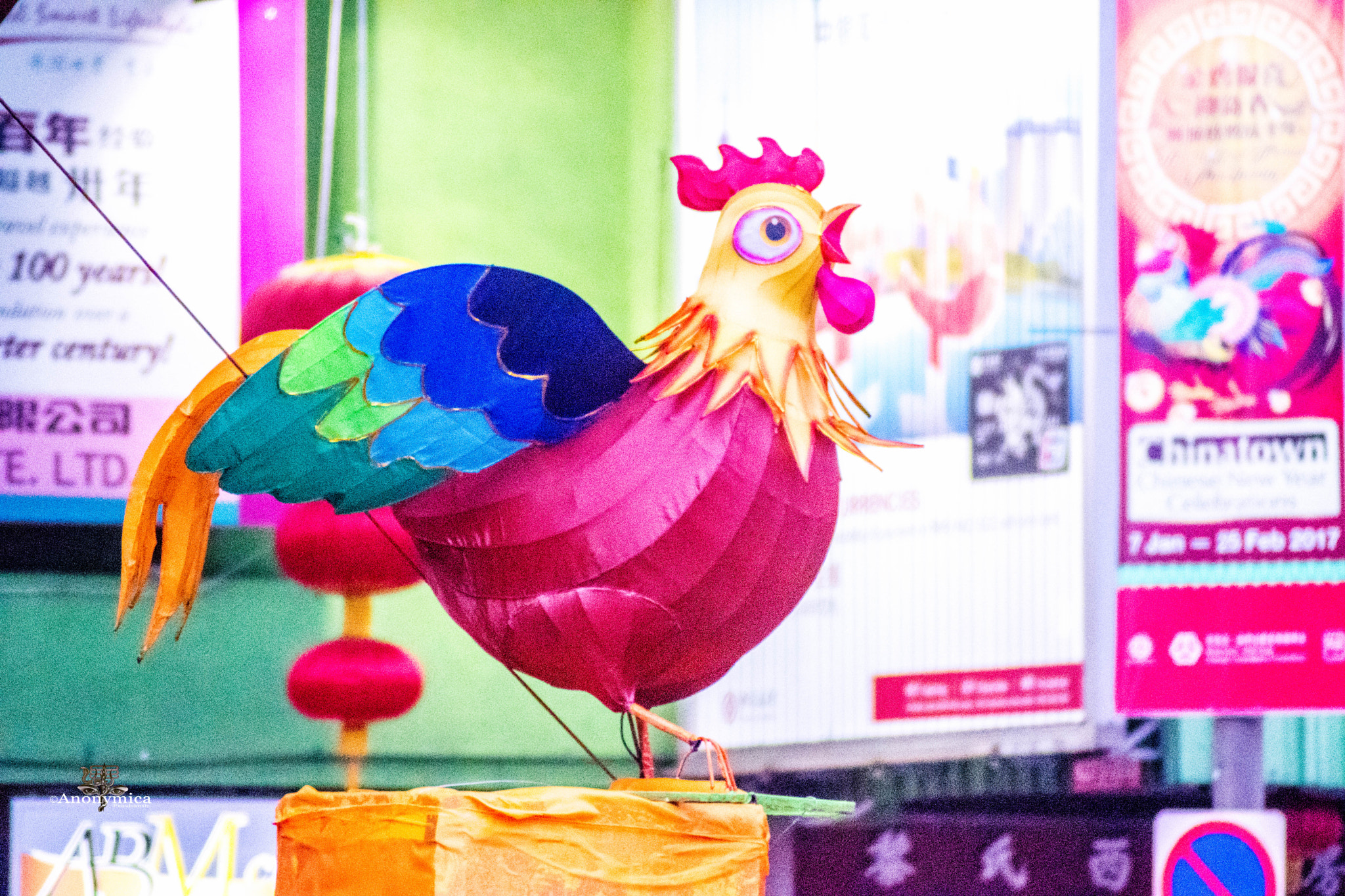 Nikon D5500 sample photo. 鸡年大吉_6 photography