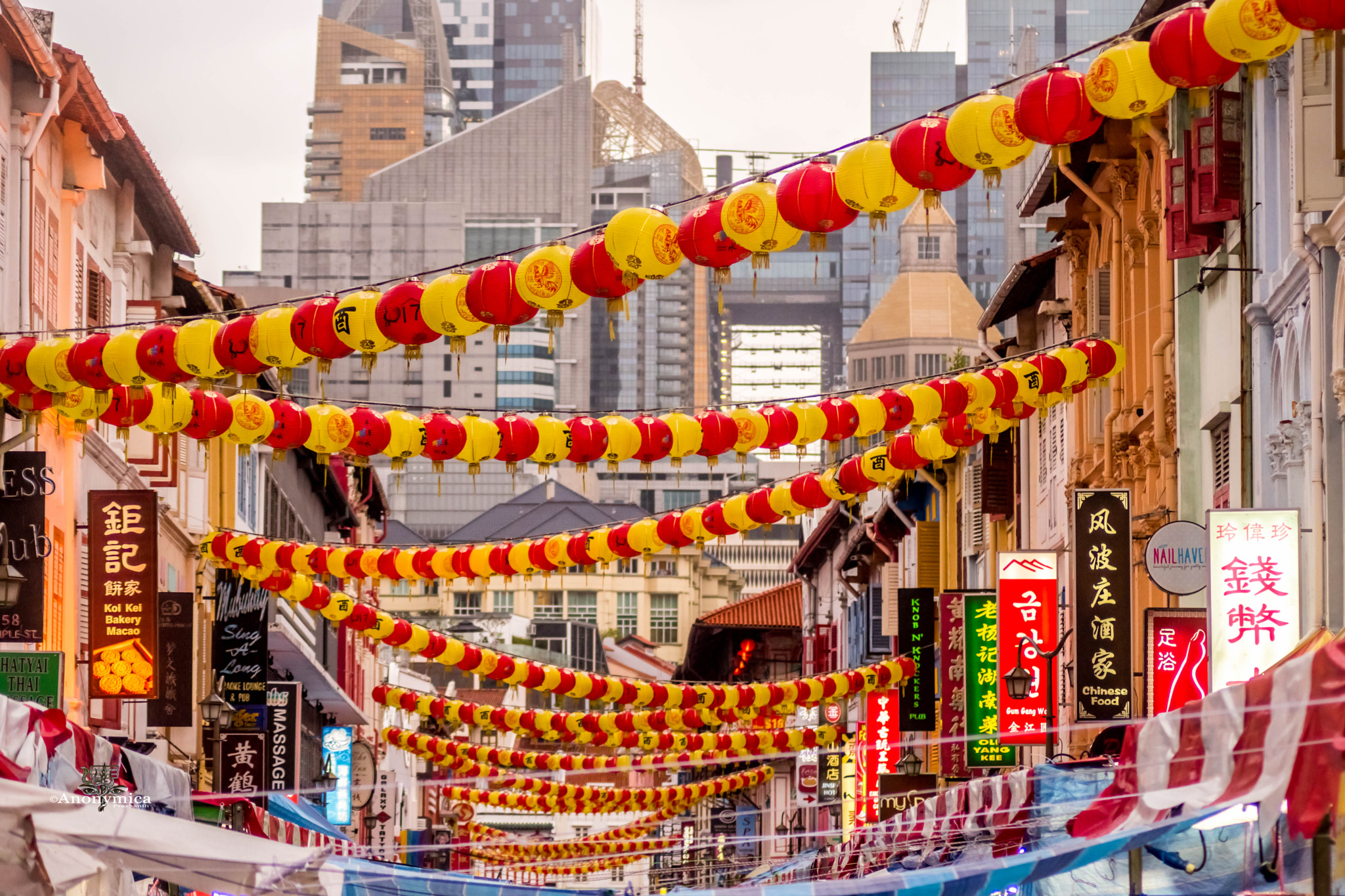 Nikon D5500 sample photo. 鸡年大吉_7 photography