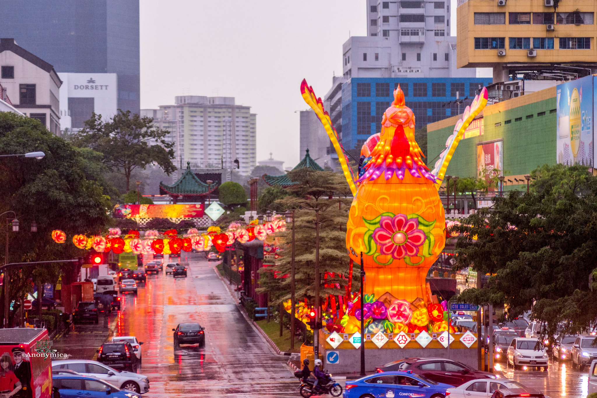 Nikon D5500 sample photo. 鸡年大吉_13 photography