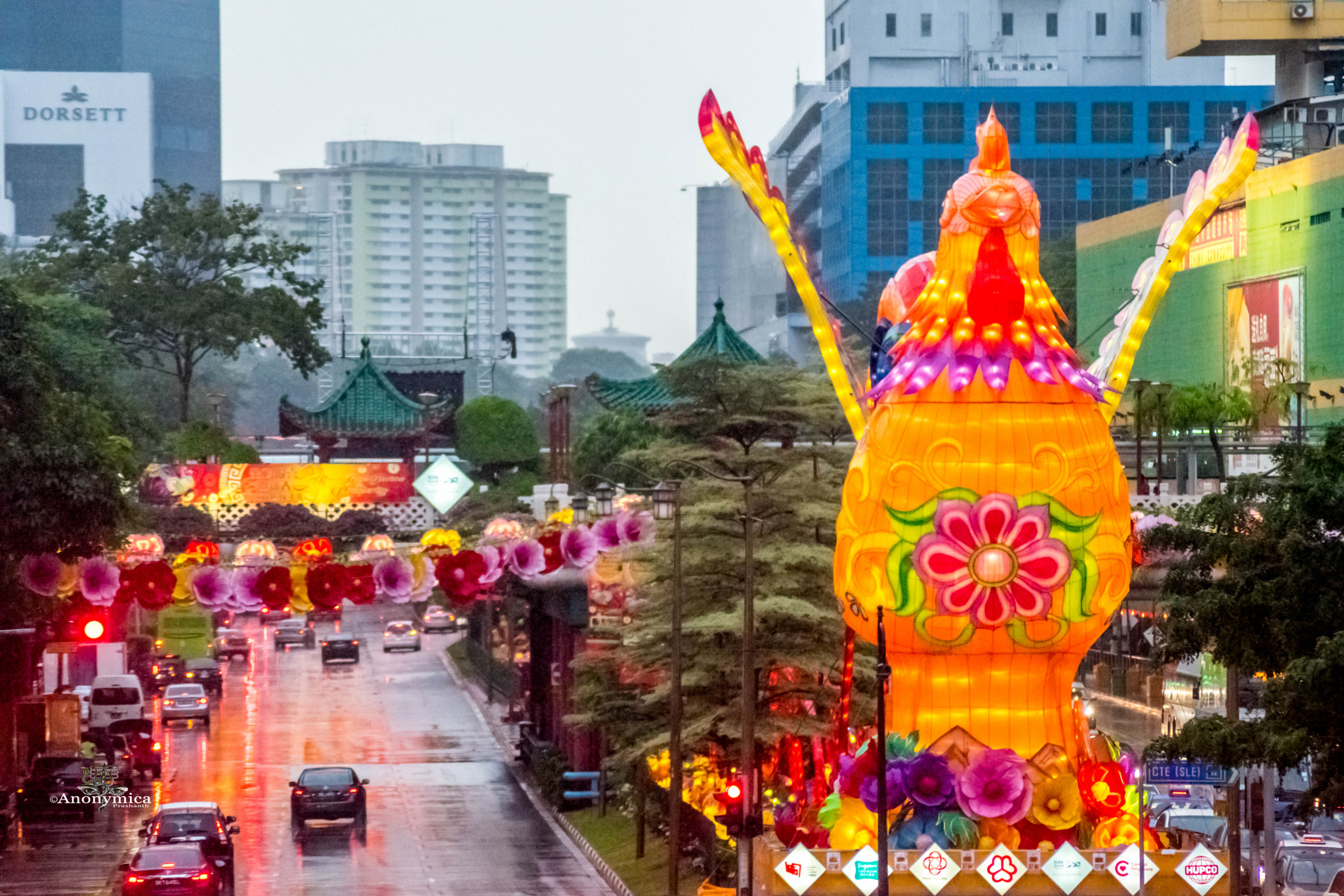 Nikon D5500 sample photo. 鸡年大吉_14 photography