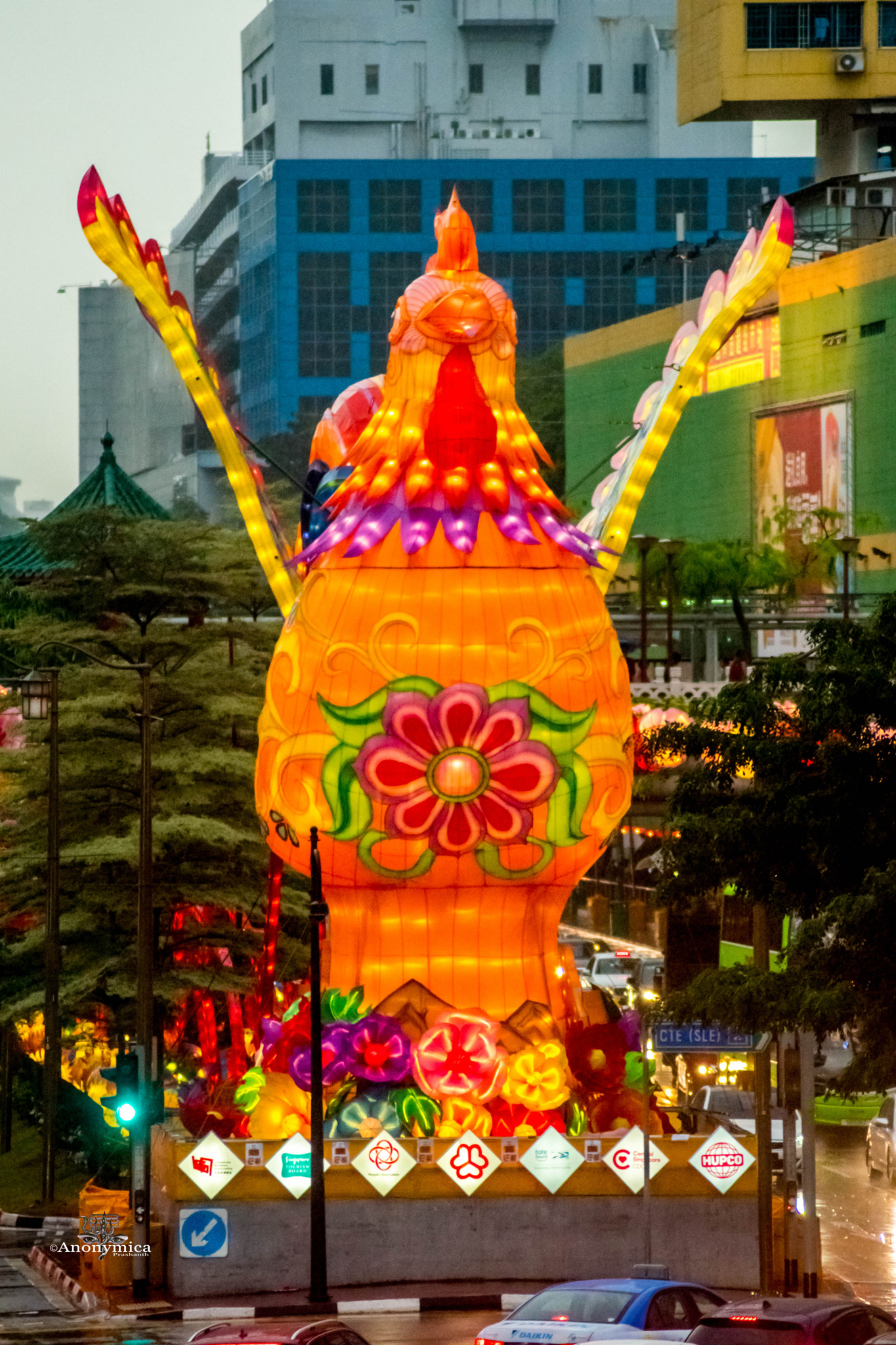 Nikon D5500 sample photo. 鸡年大吉_16 photography