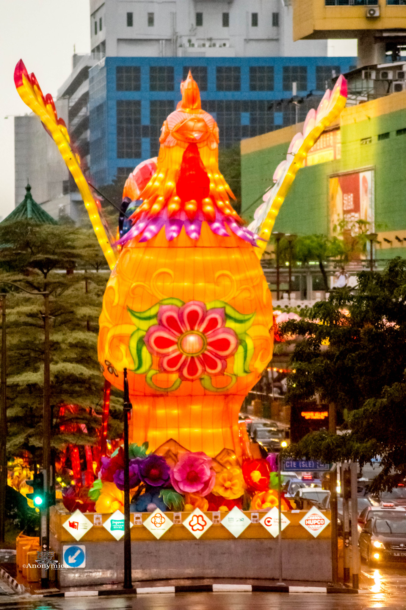 Nikon D5500 sample photo. 鸡年大吉_15 photography