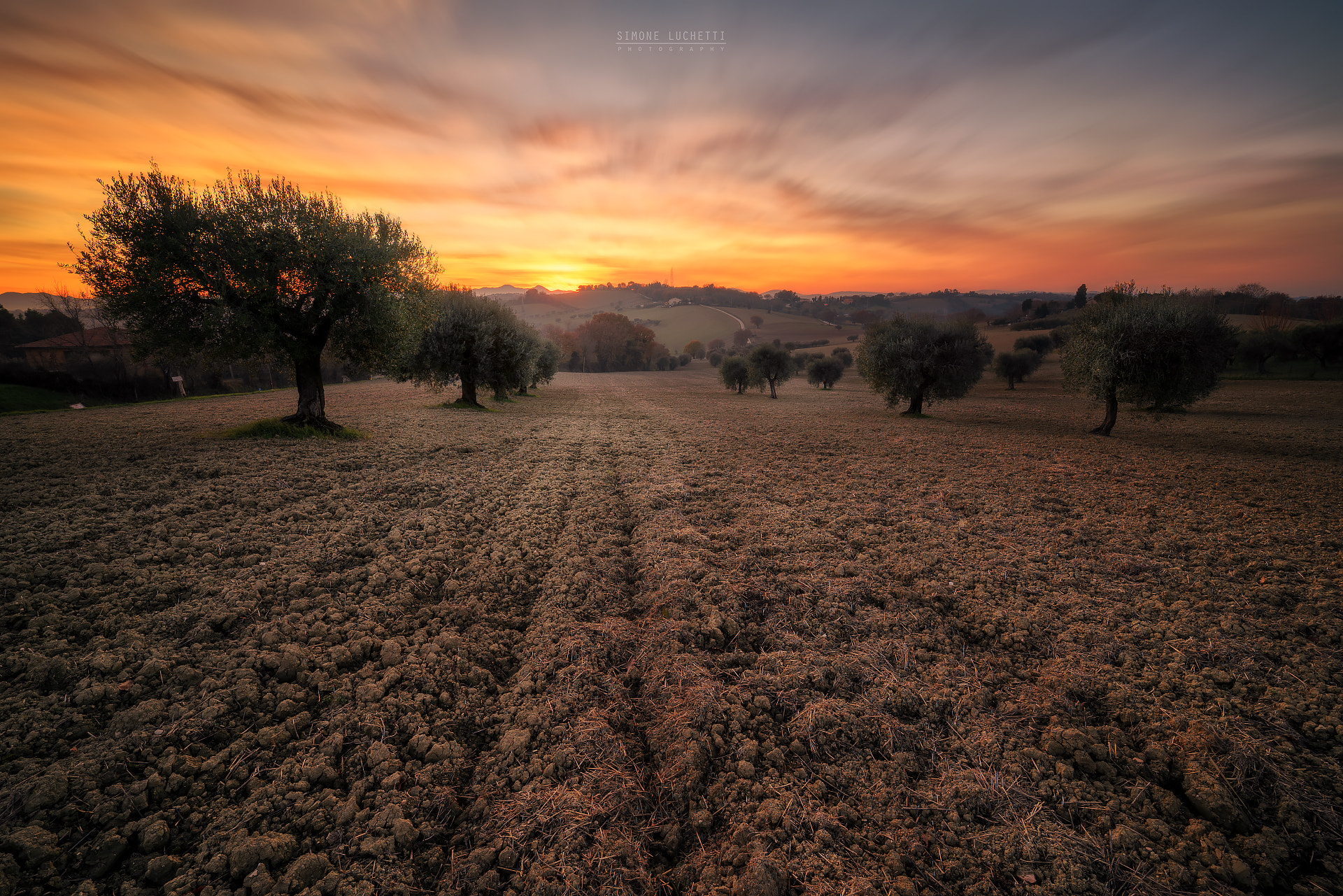 Sony a7R II + Samyang AF 14mm F2.8 FE sample photo. "directions" photography