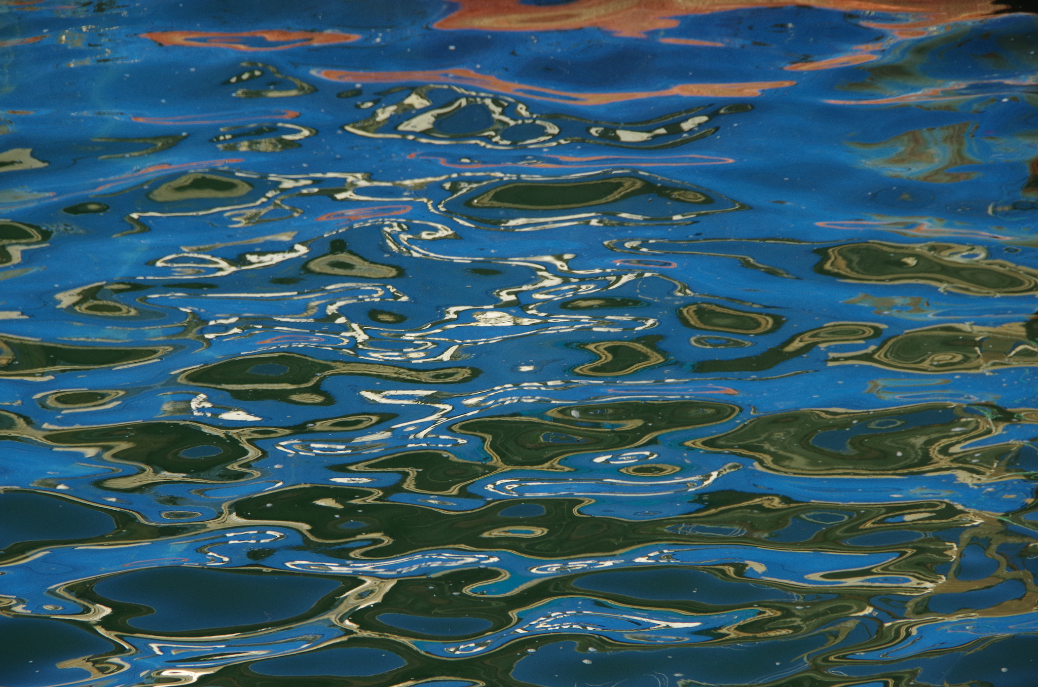 Pentax K-50 sample photo. Perros photography