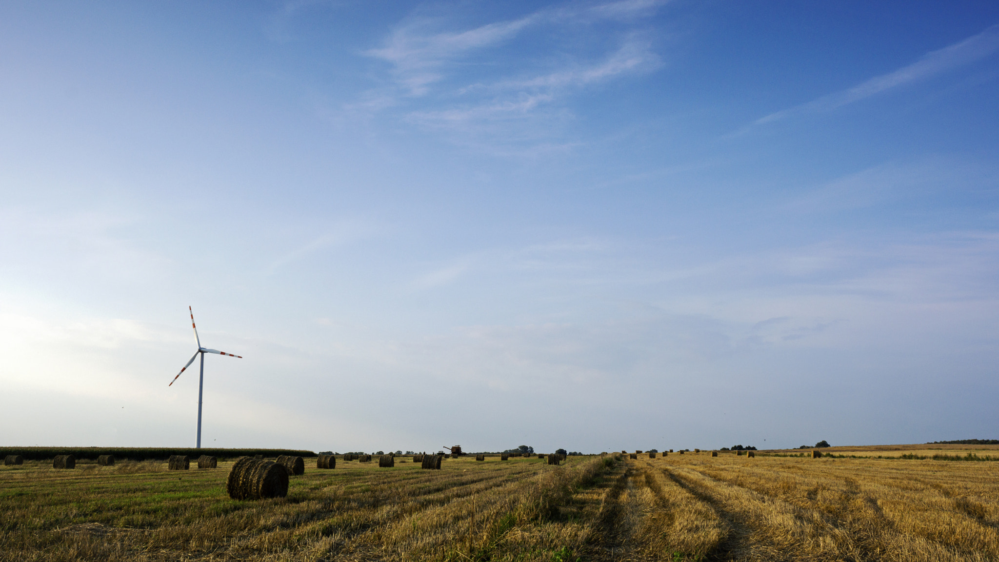 Sony SLT-A65 (SLT-A65V) + Minolta AF 24mm F2.8 sample photo. Harvest photography