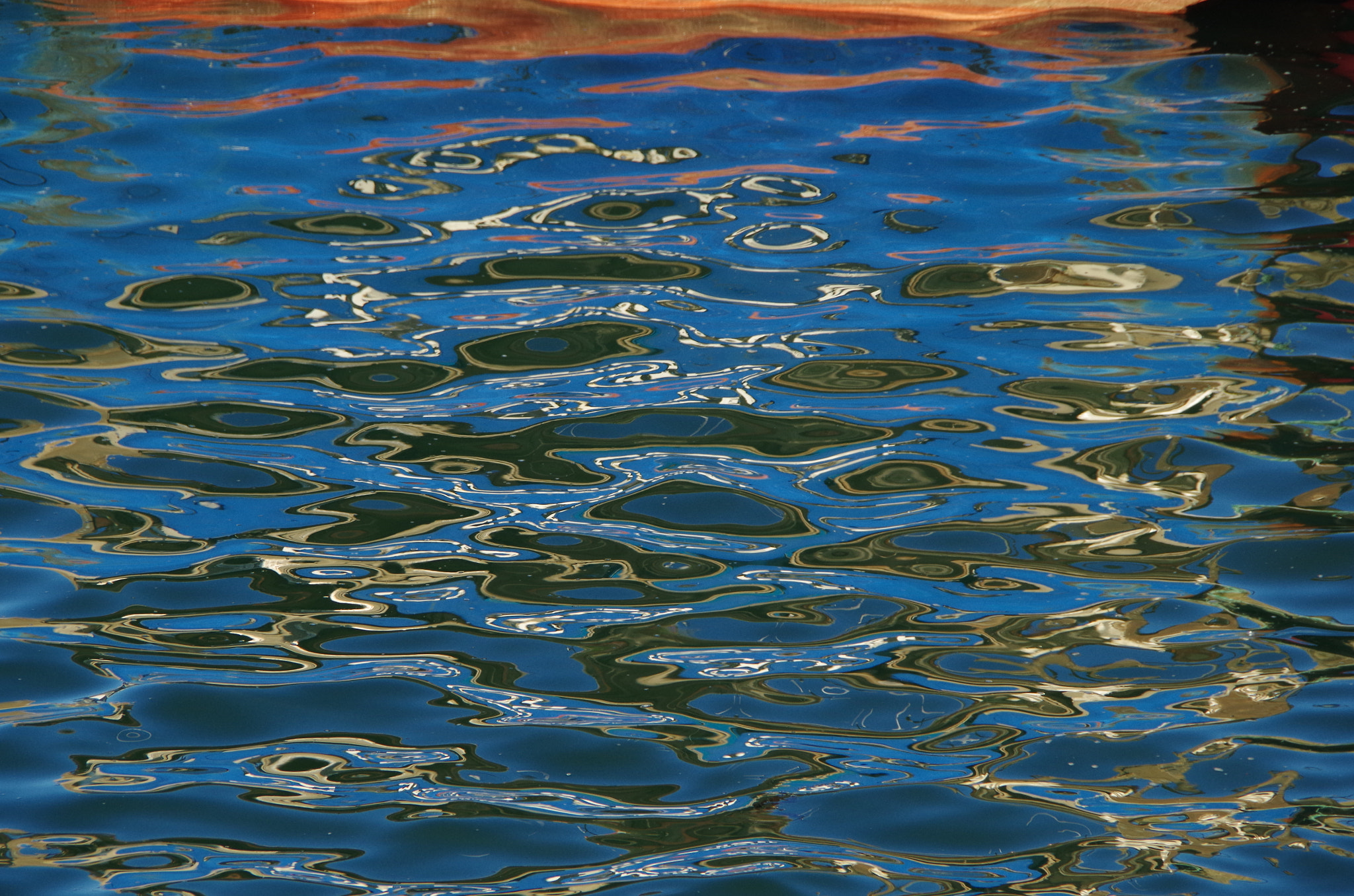 Pentax K-50 sample photo. Perros photography