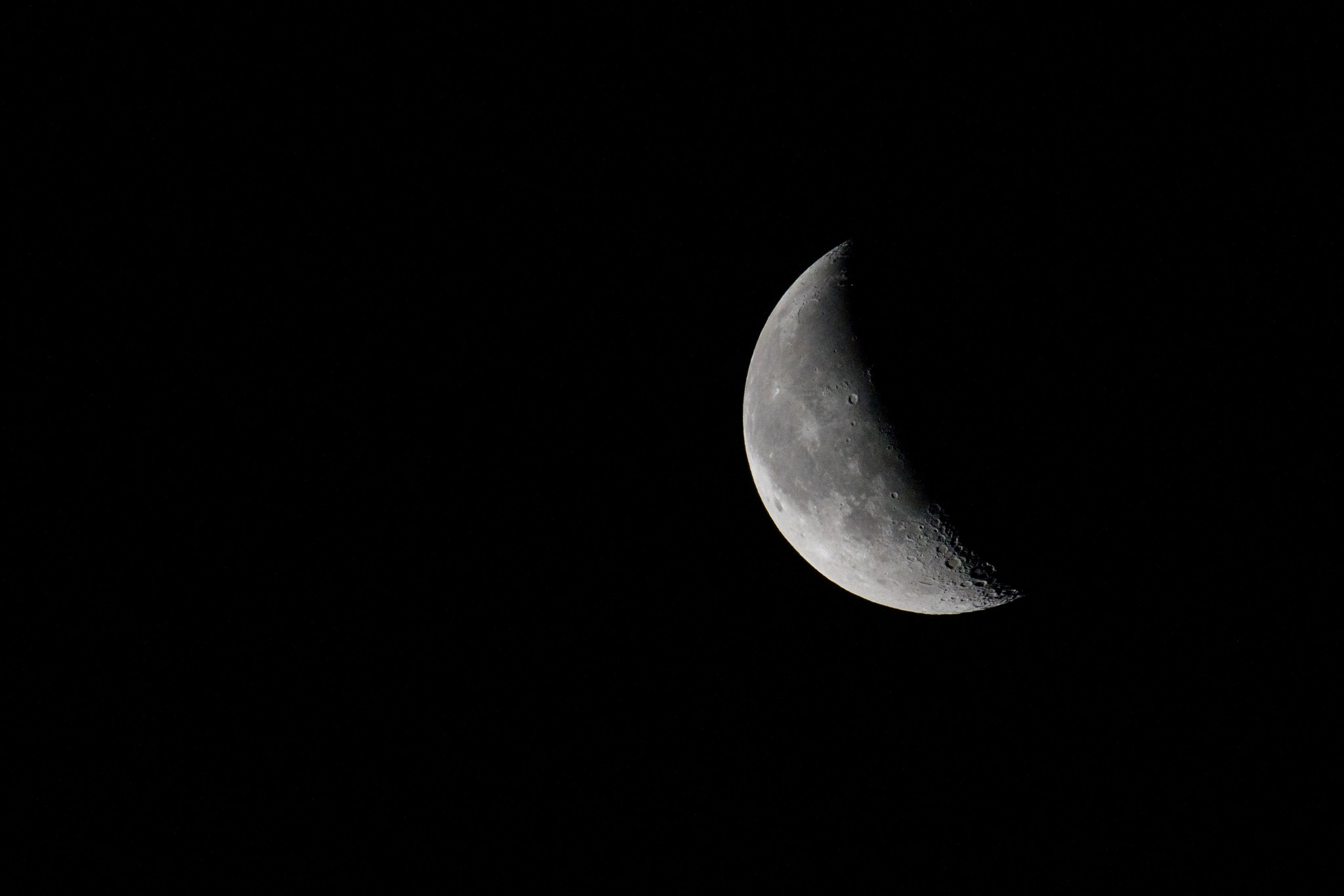 Nikon D500 + Sigma 50mm F2.8 EX DG Macro sample photo. Half time photography