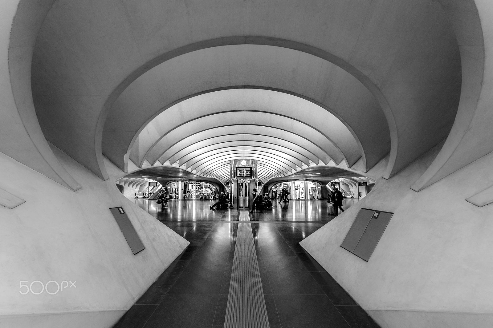 Sigma 8-16mm F4.5-5.6 DC HSM sample photo. Inside urban anthills photography