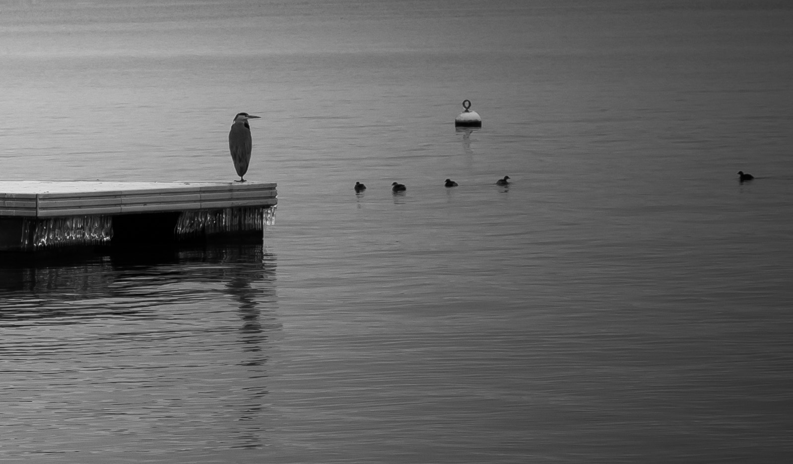Nikon D300S sample photo. L'hiver photography