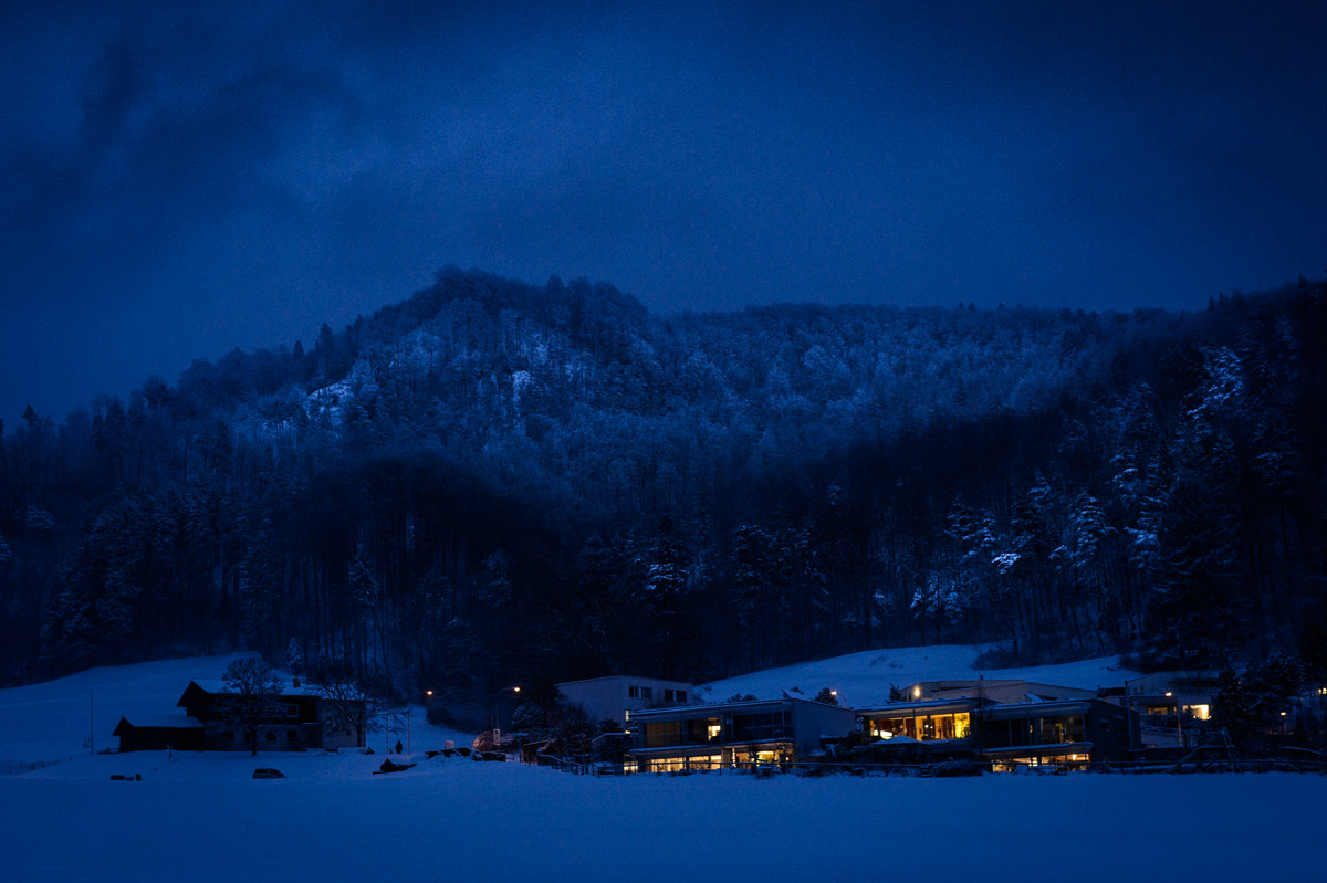 ZEISS Otus 55mm F1.4 sample photo. Colors of a dark winter photography