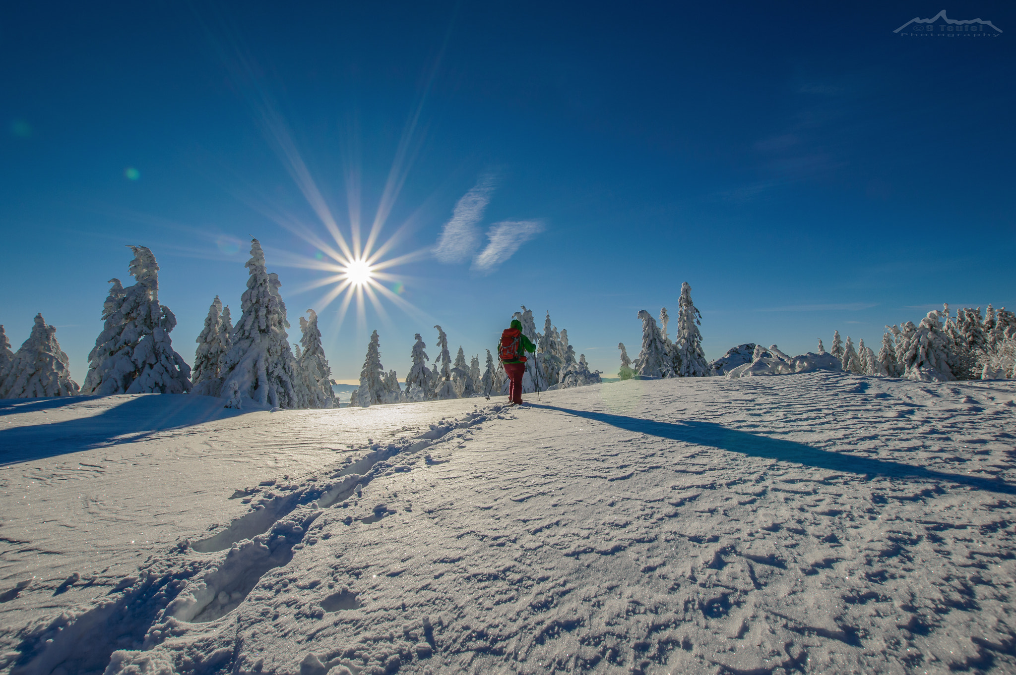 Sigma 10-20mm F3.5 EX DC HSM sample photo. "snowshoe tour" photography