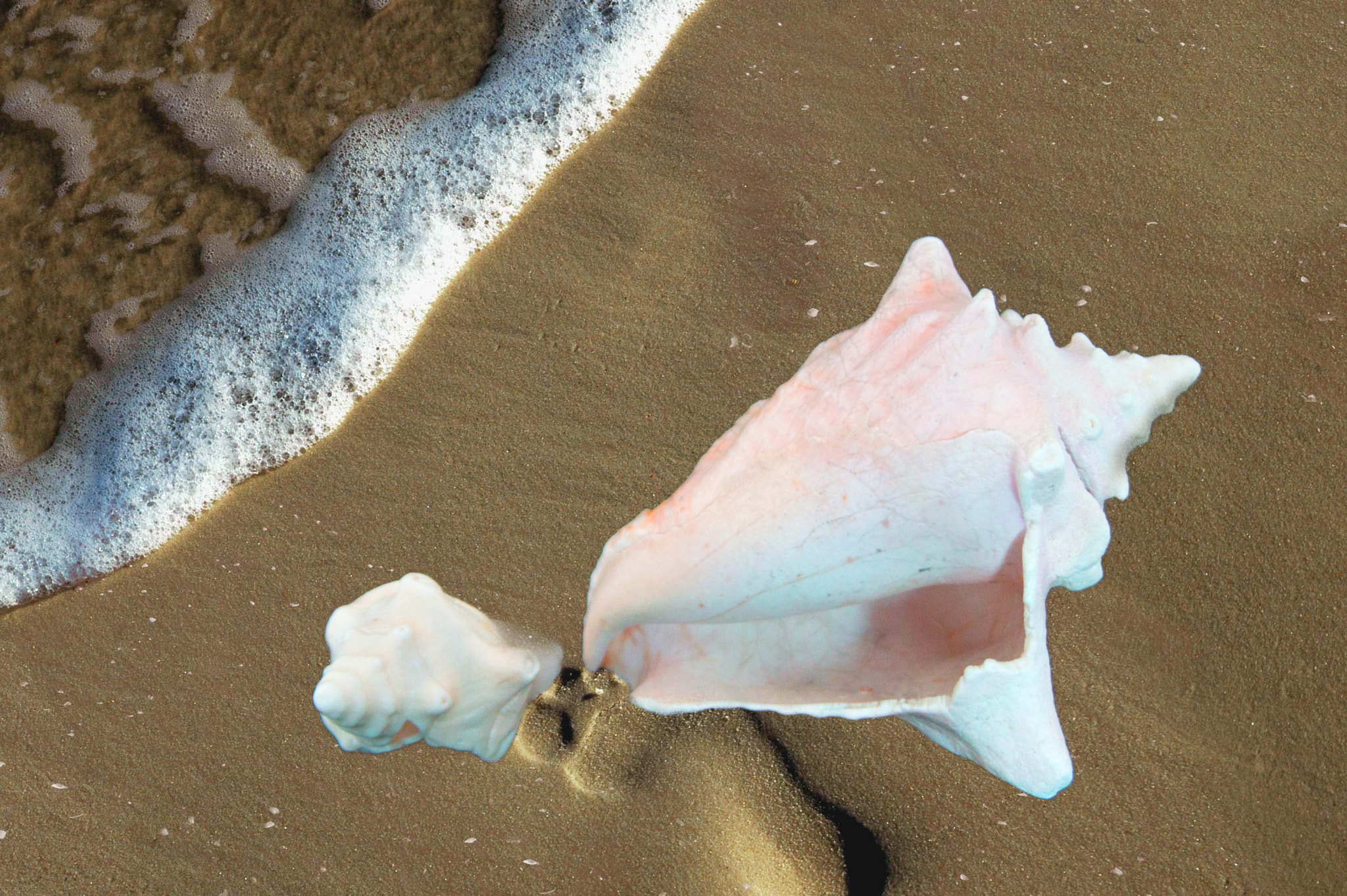 Nikon D3200 sample photo. On the beach photography