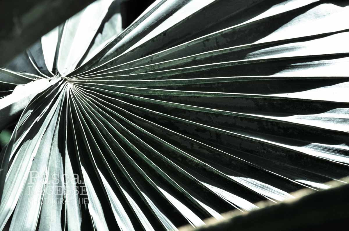 Sigma 18-250mm F3.5-6.3 DC Macro OS HSM sample photo. Natural design photography