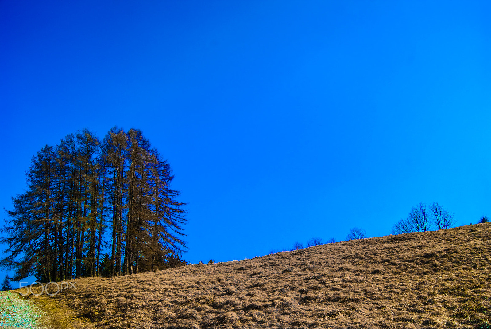 Sony Alpha DSLR-A330 + Sony DT 18-55mm F3.5-5.6 SAM sample photo. A beautiful sky photography