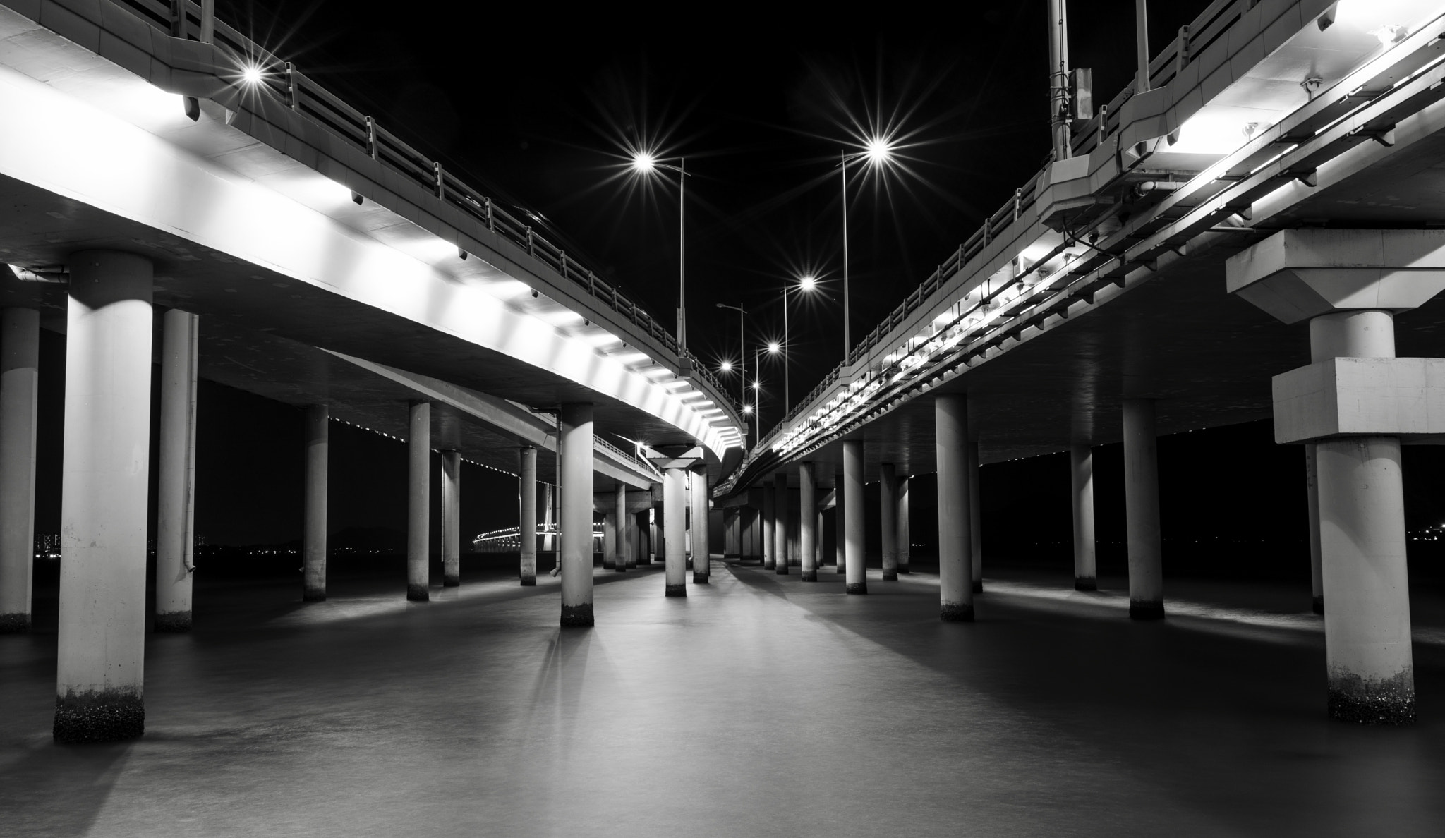 Sigma 24mm F1.4 DG HSM Art sample photo. The shenzhen bay bridge. photography
