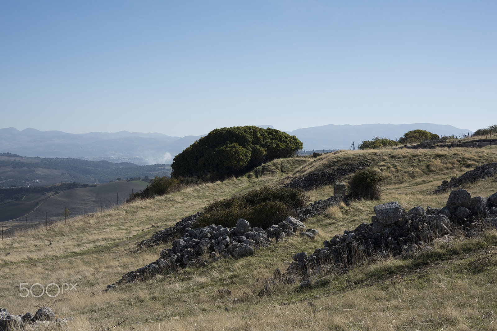 Nikon AF-S Micro-Nikkor 60mm F2.8G ED sample photo. Acinipo ronda, andalucia, spain. photography