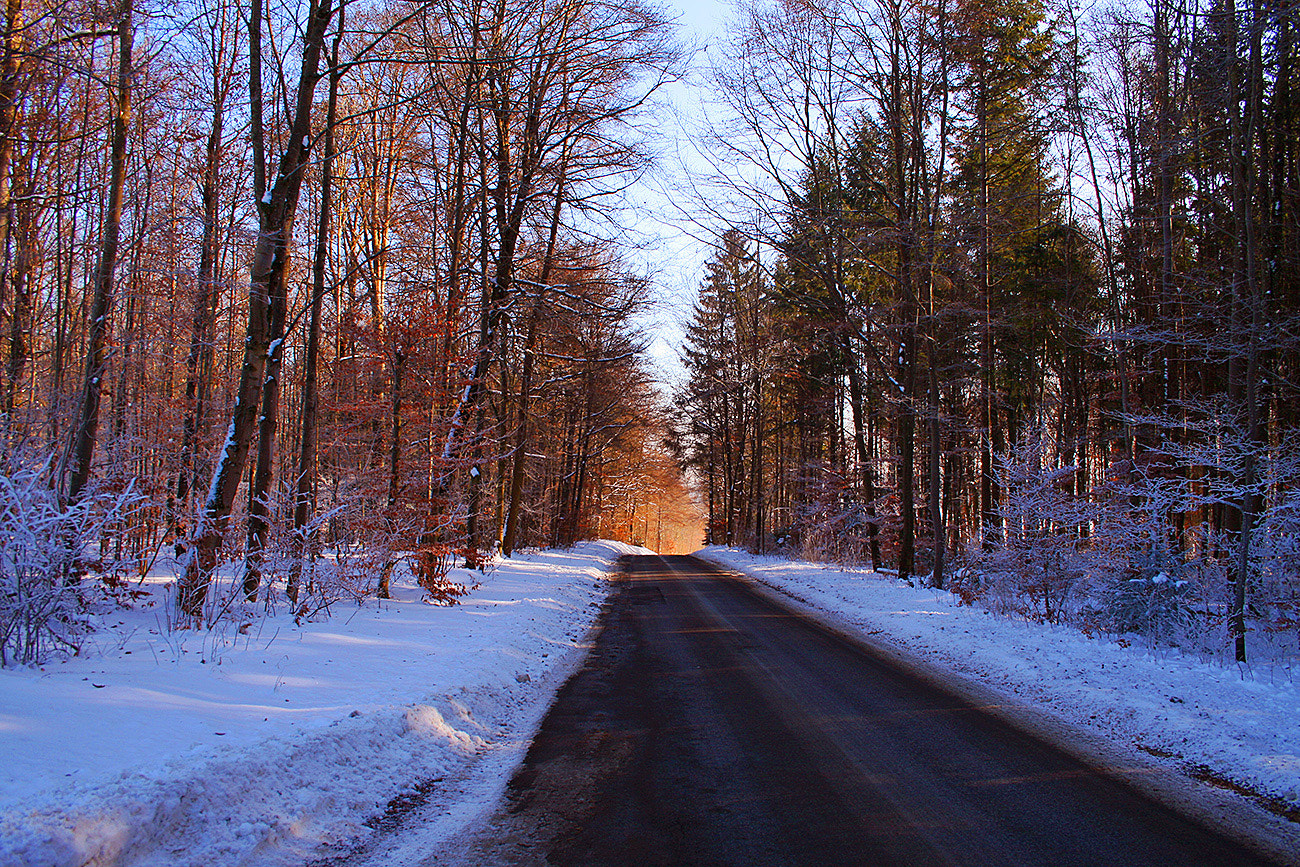 Canon EOS 400D (EOS Digital Rebel XTi / EOS Kiss Digital X) + Canon EF 50mm f/1.8 sample photo. ... the light at the end of the road ... photography