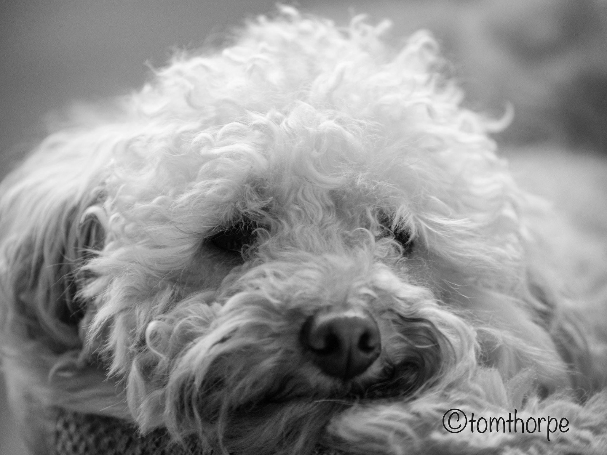 Panasonic Lumix G X Vario 35-100mm F2.8 OIS sample photo. Resting photography