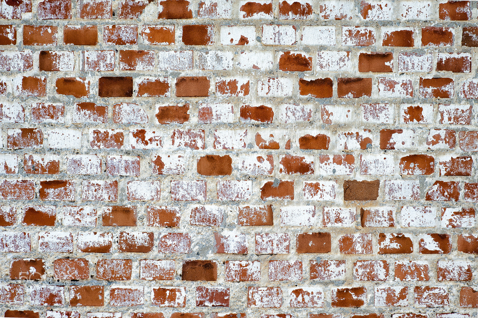 Nikon D700 + Tamron SP 24-70mm F2.8 Di VC USD sample photo. Wall of red and white bricks without graffiti photography