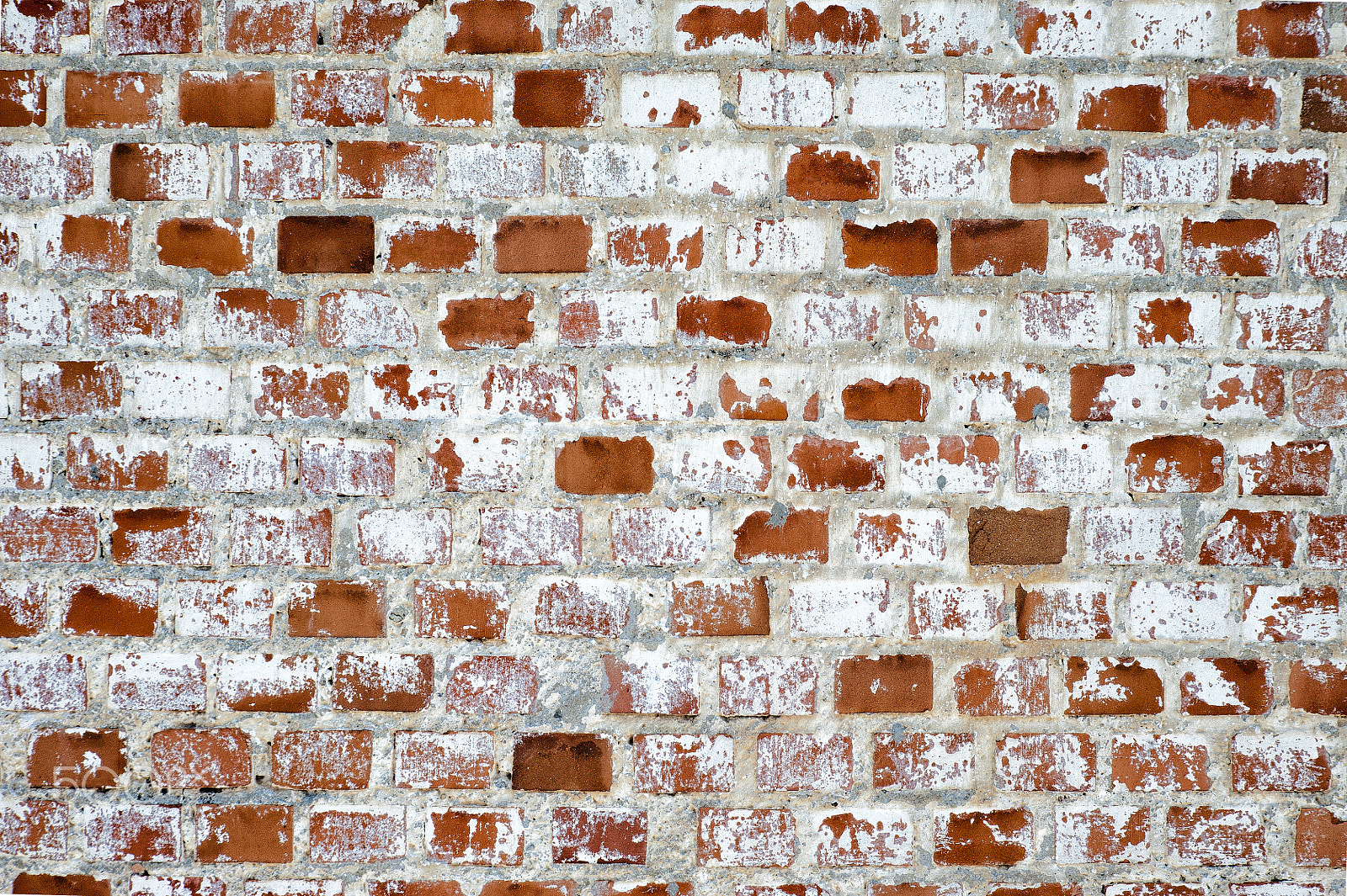 Tamron SP 24-70mm F2.8 Di VC USD sample photo. Wall of red and white bricks without graffiti photography