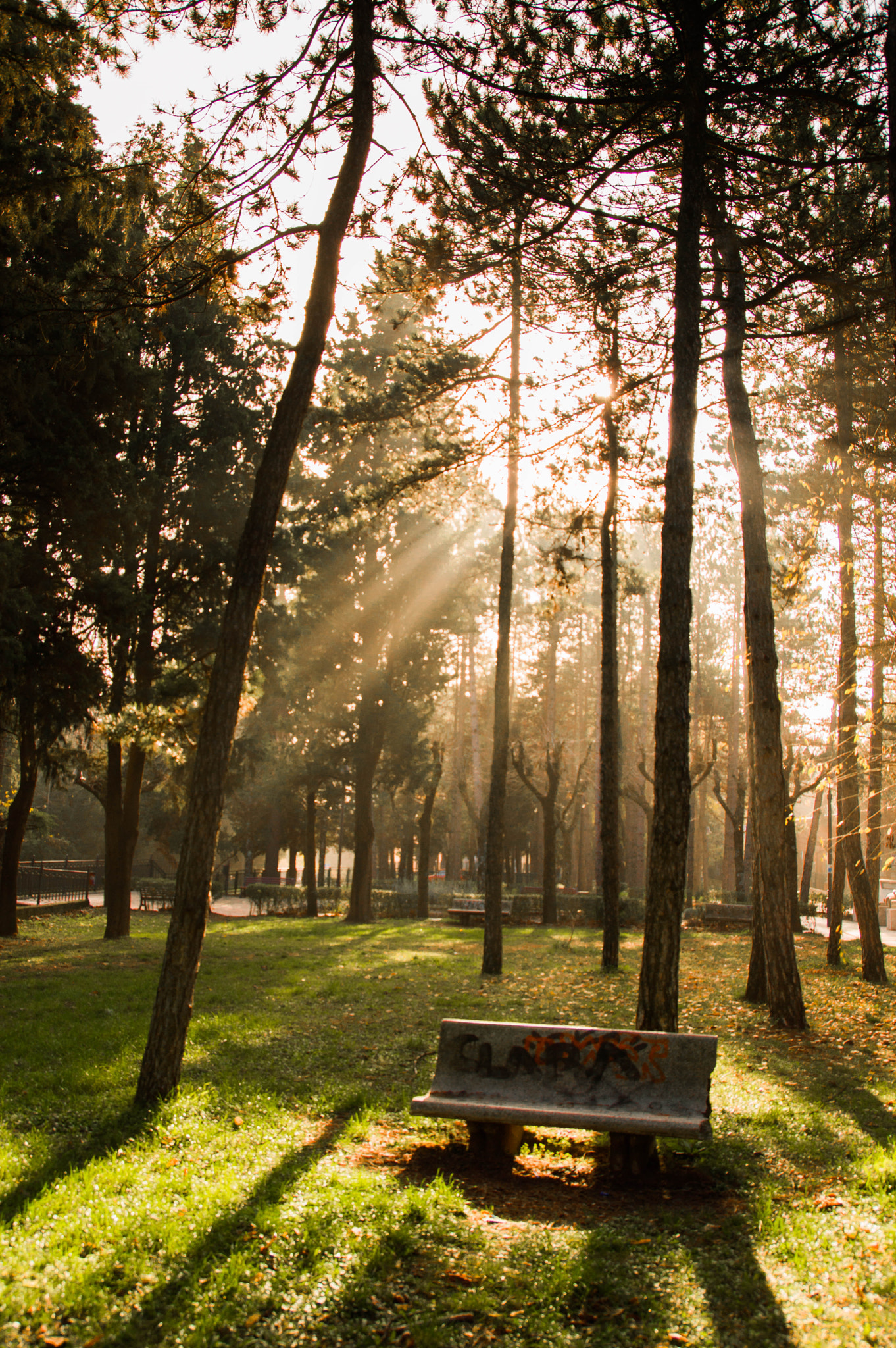 Nikon D3200 sample photo. Al parco photography