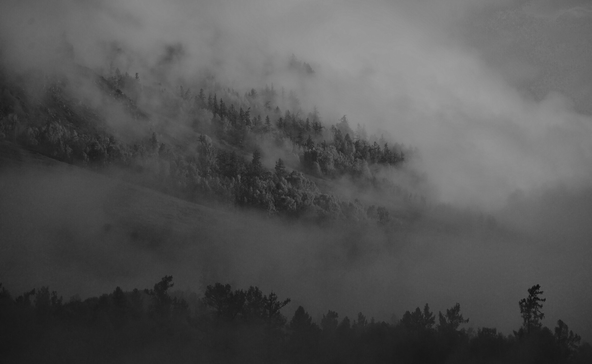 Panasonic Lumix DMC-GX7 + OLYMPUS DIGITAL 40-150mm Lens sample photo. Hemu village,xinjiang province,china photography