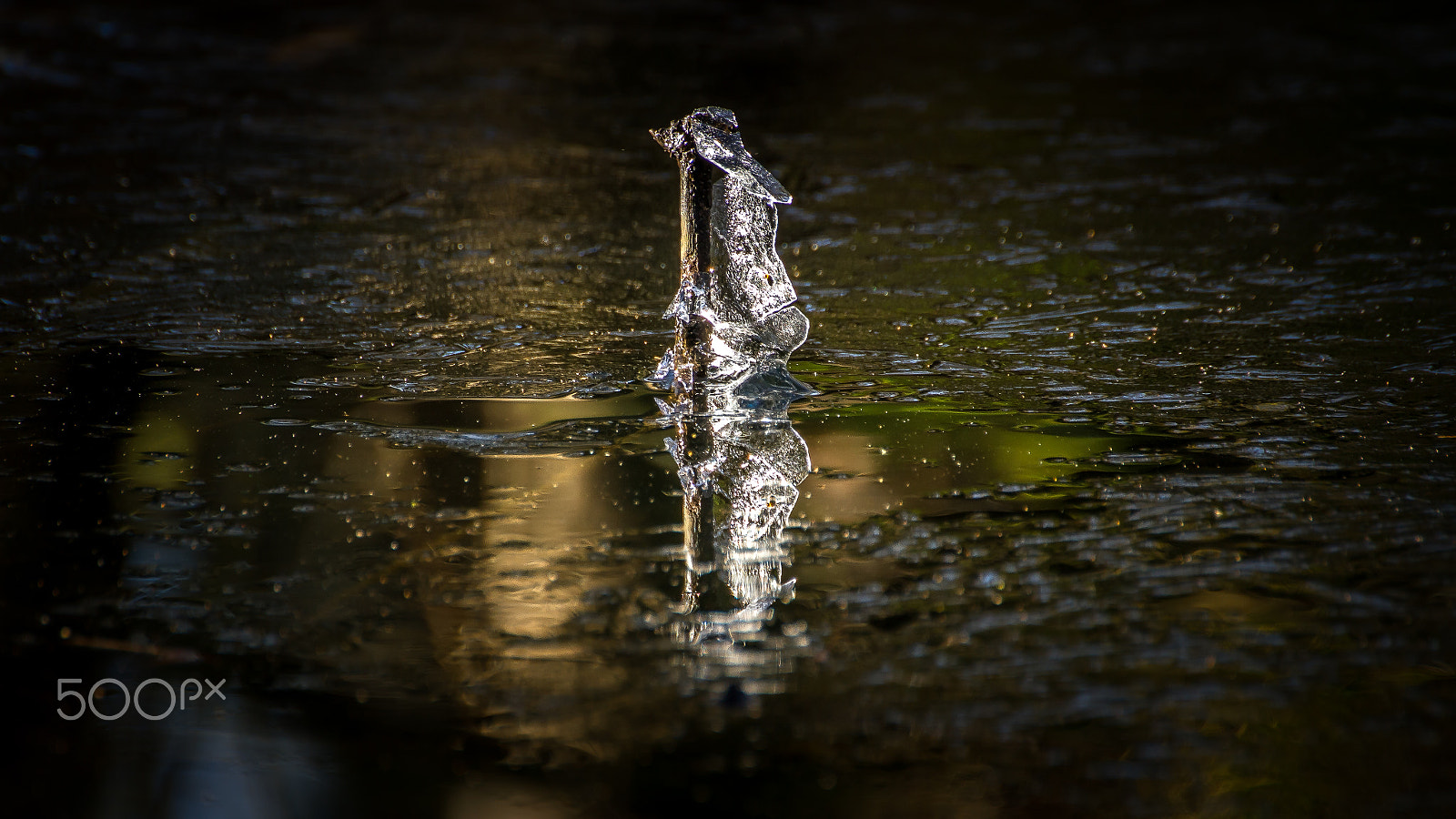 Tamron SP 35mm F1.8 Di VC USD sample photo. Ice stick art photography