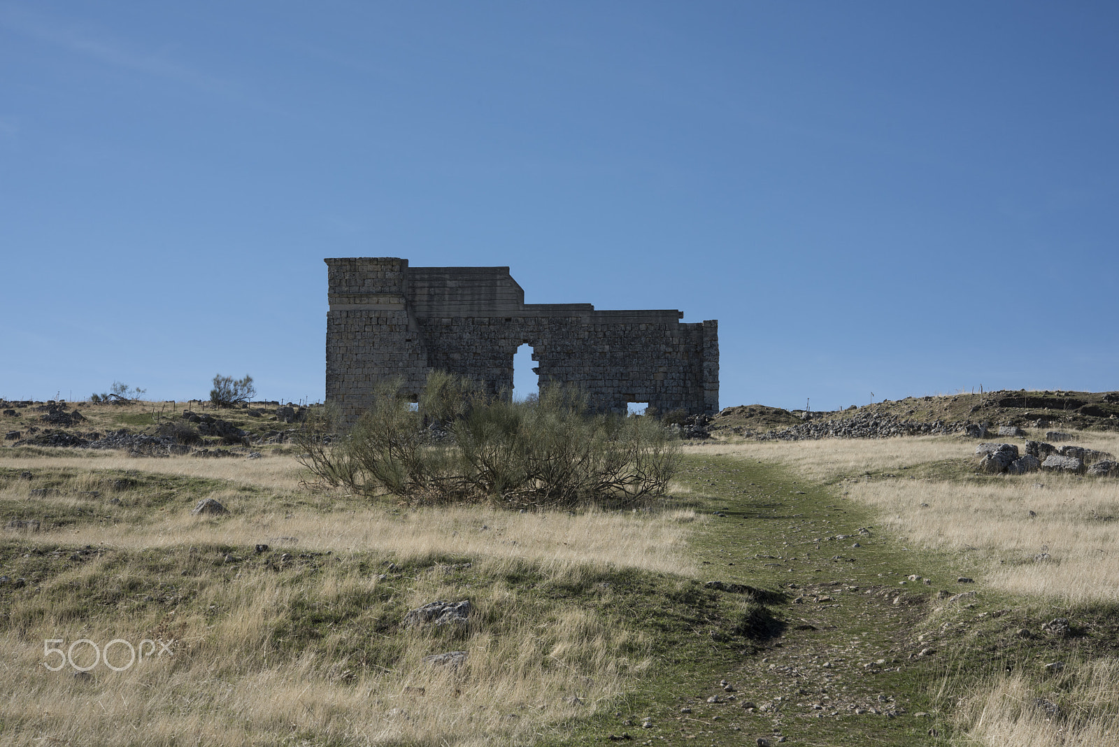 Nikon AF-S Micro-Nikkor 60mm F2.8G ED sample photo. Acinipo ronda, andalucia, spain. photography
