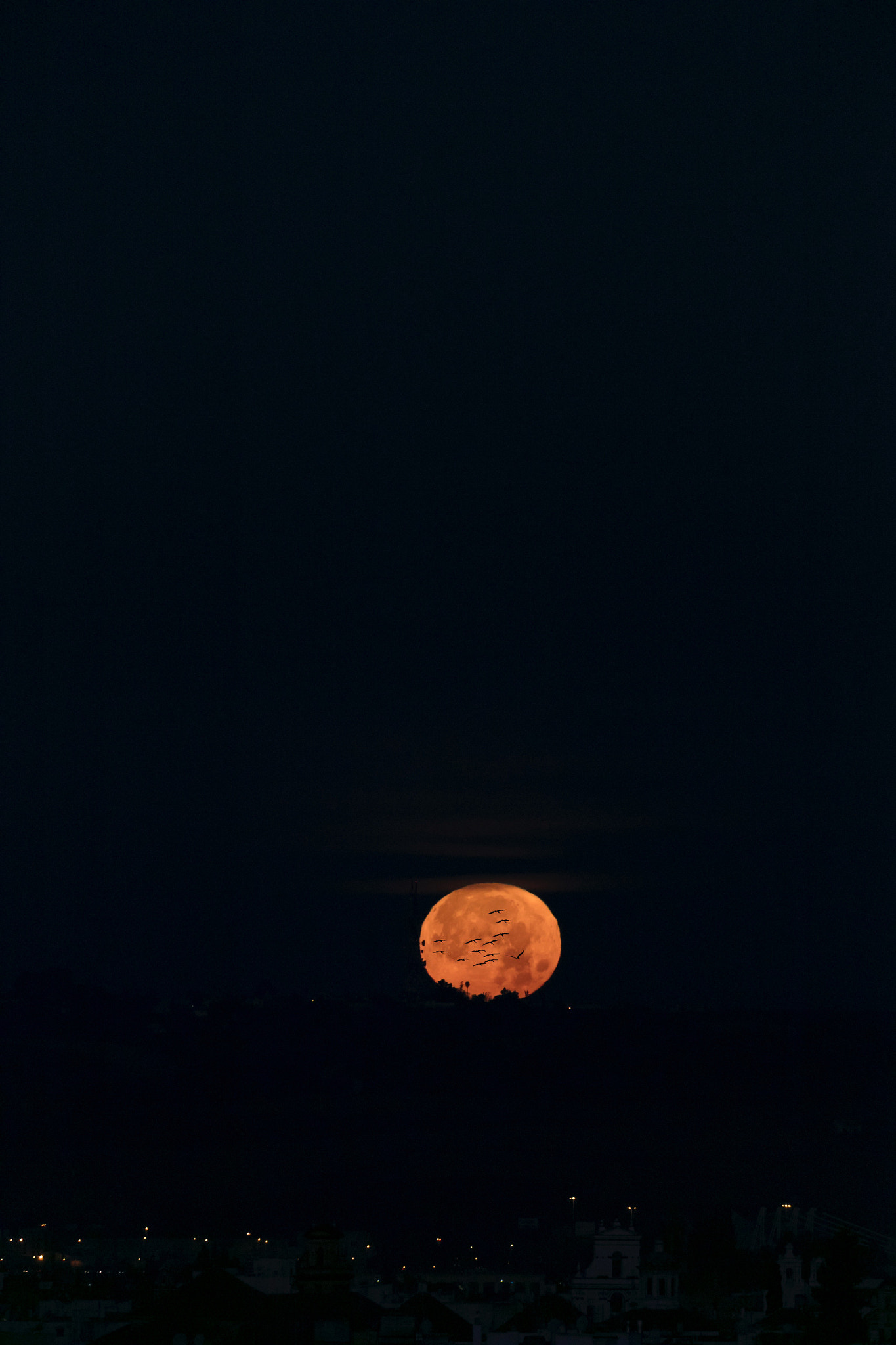 Canon EOS 5DS R sample photo. La luna se va al amanecer. photography