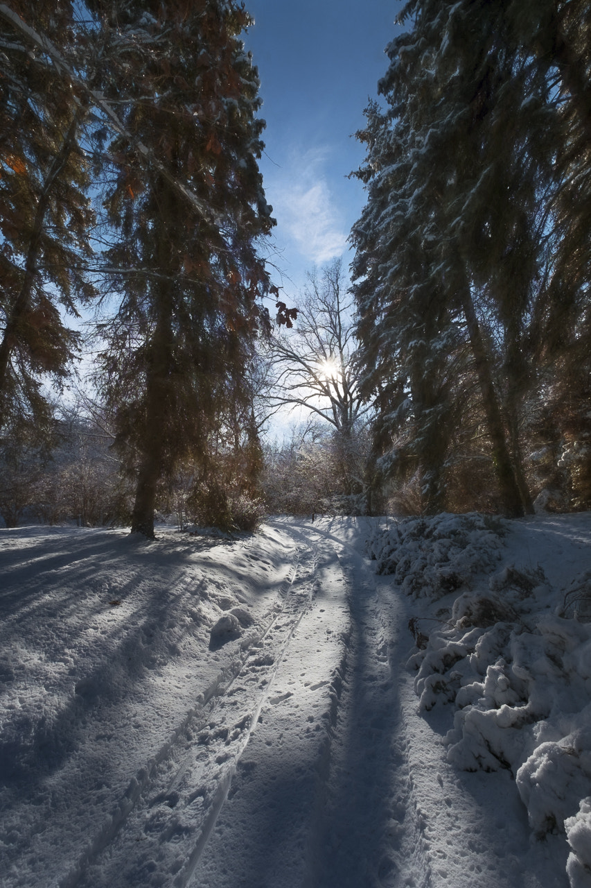 Fujifilm XF 10-24mm F4 R OIS sample photo. Winter 7 photography